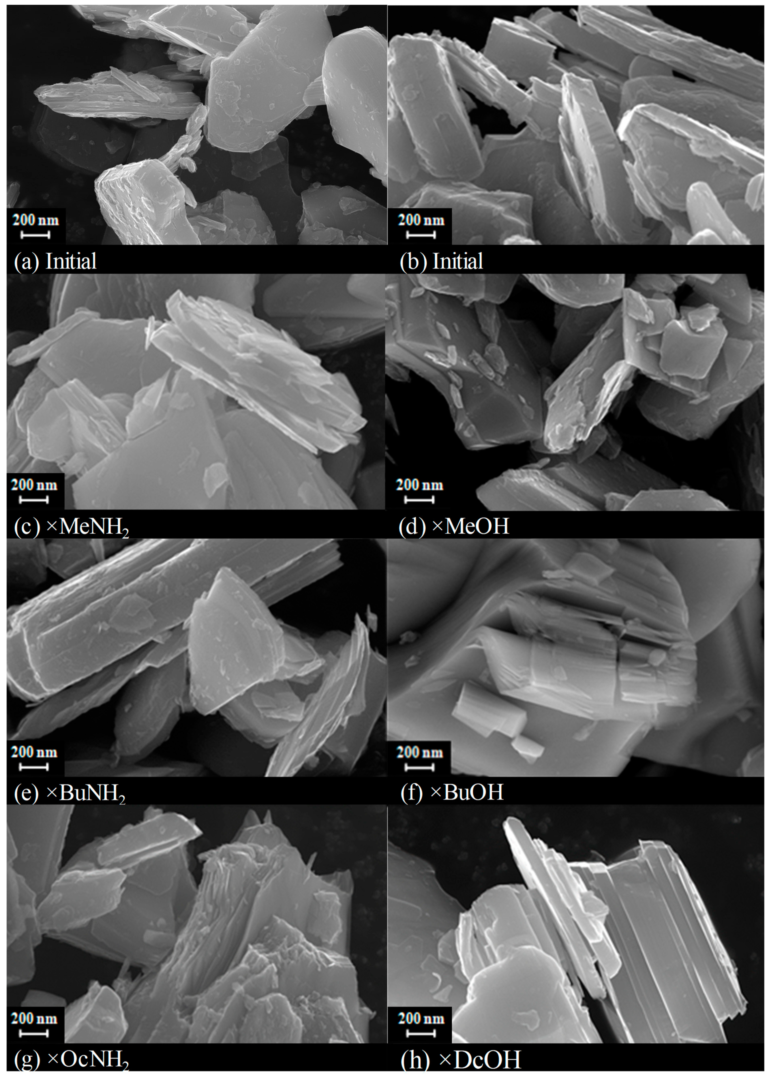 Molecules 28 04807 g007 Molecules 28 04807 g007
