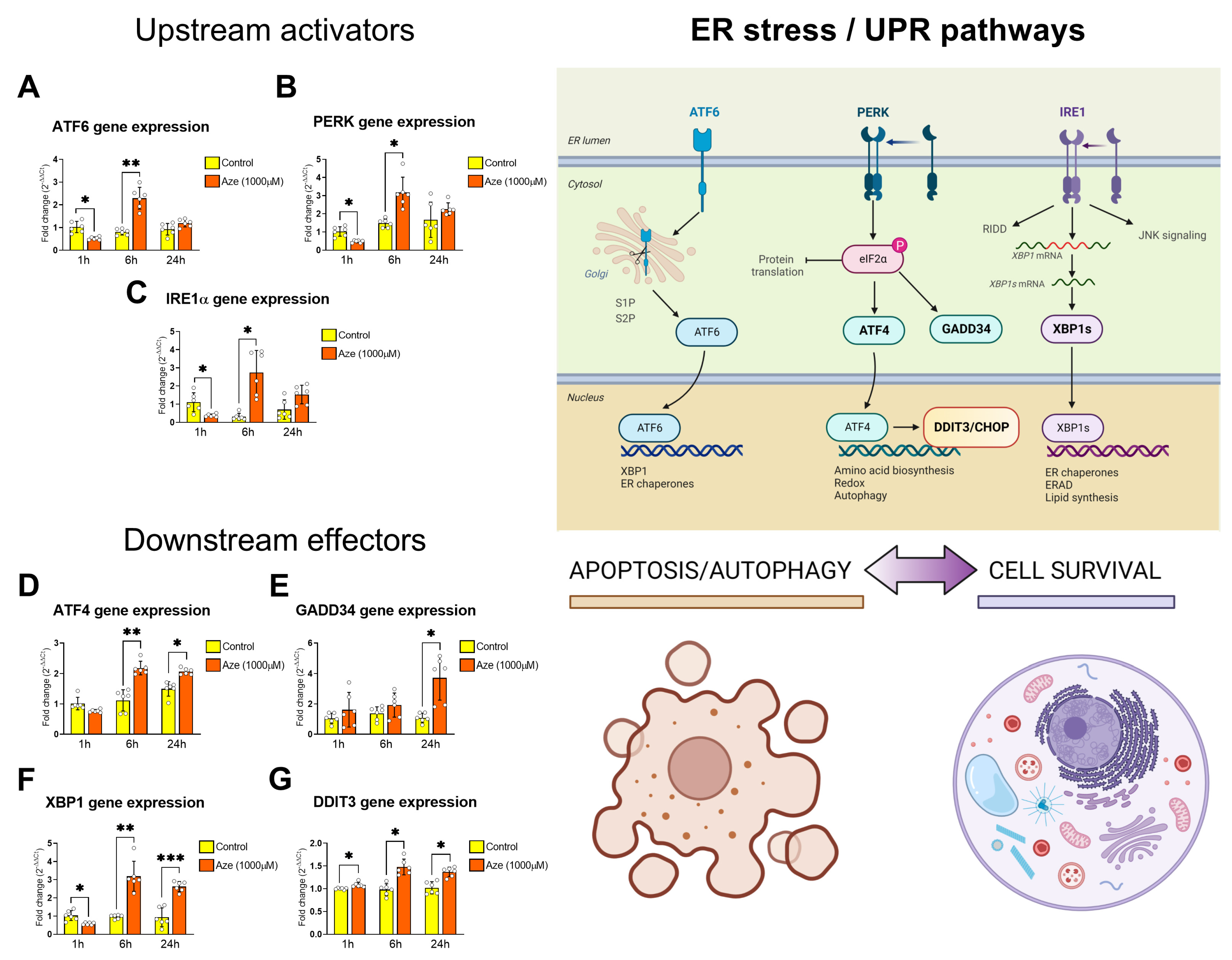 Molecules 28 04808 g003