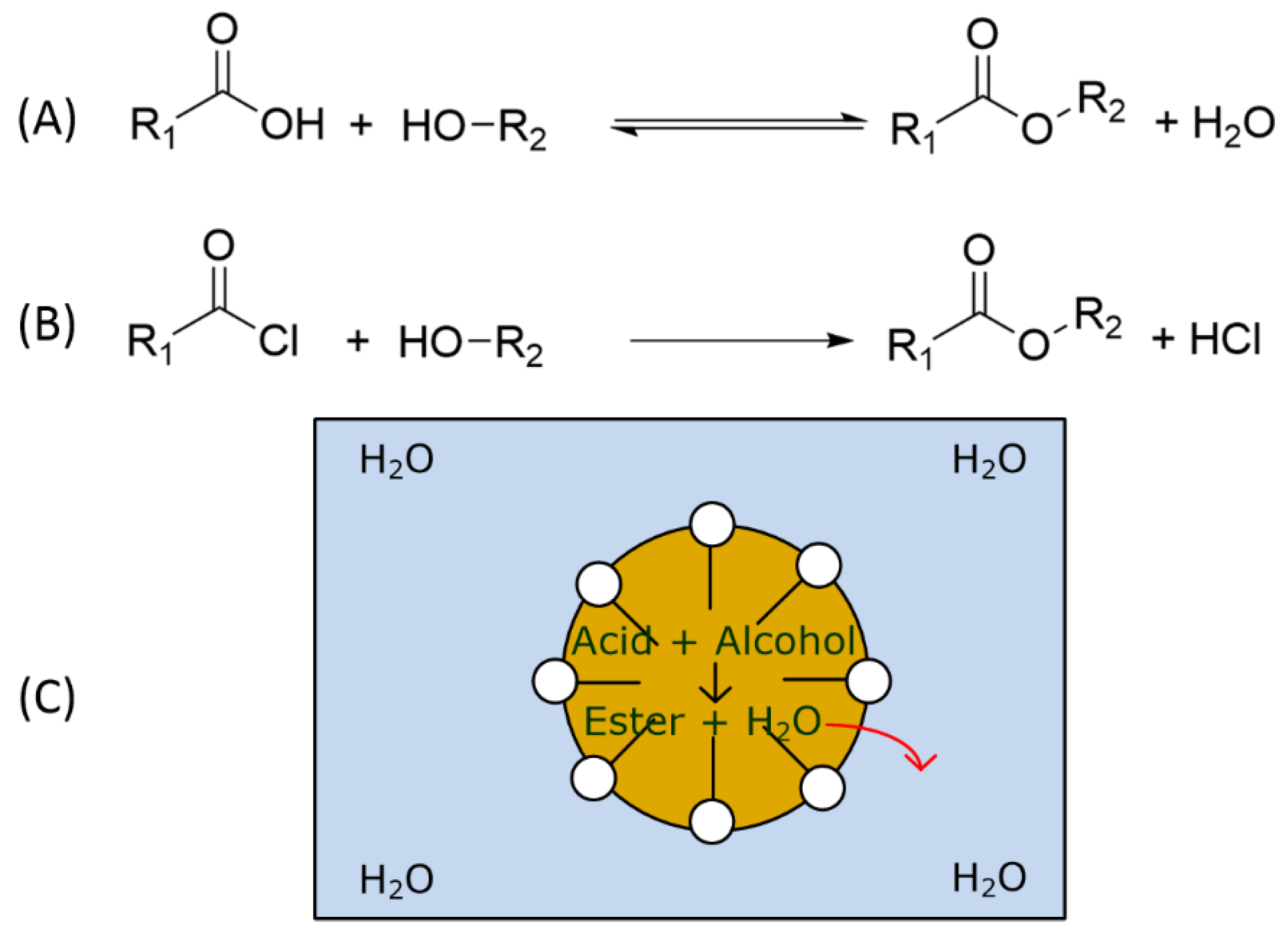 Molecules 28 04809 g014 Molecules 28 04809 g014