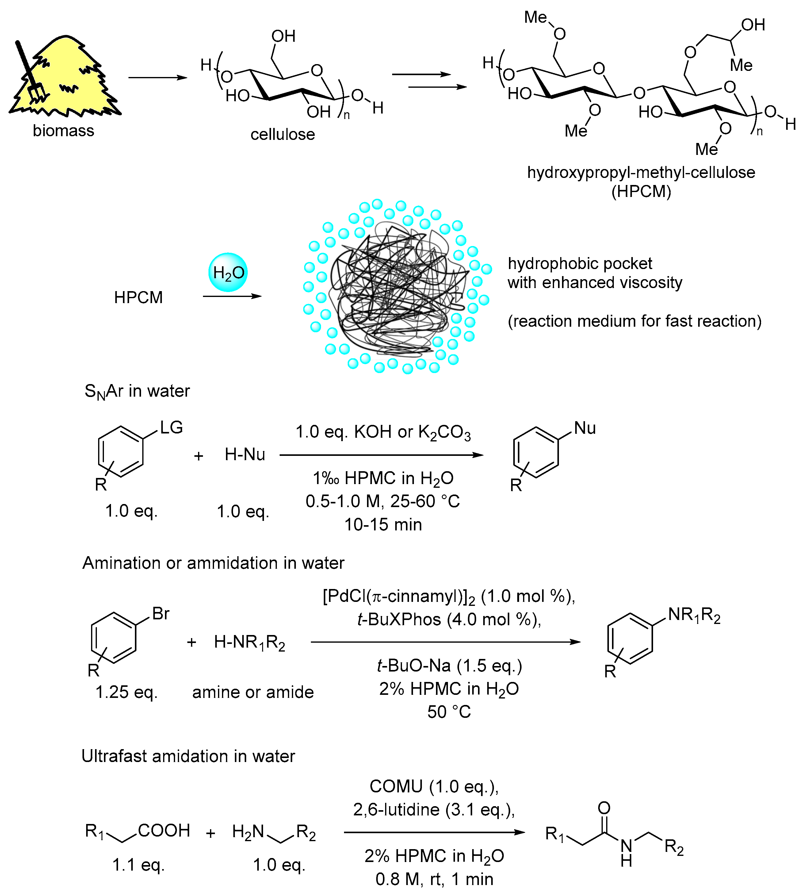Molecules 28 04809 g016 Molecules 28 04809 g016