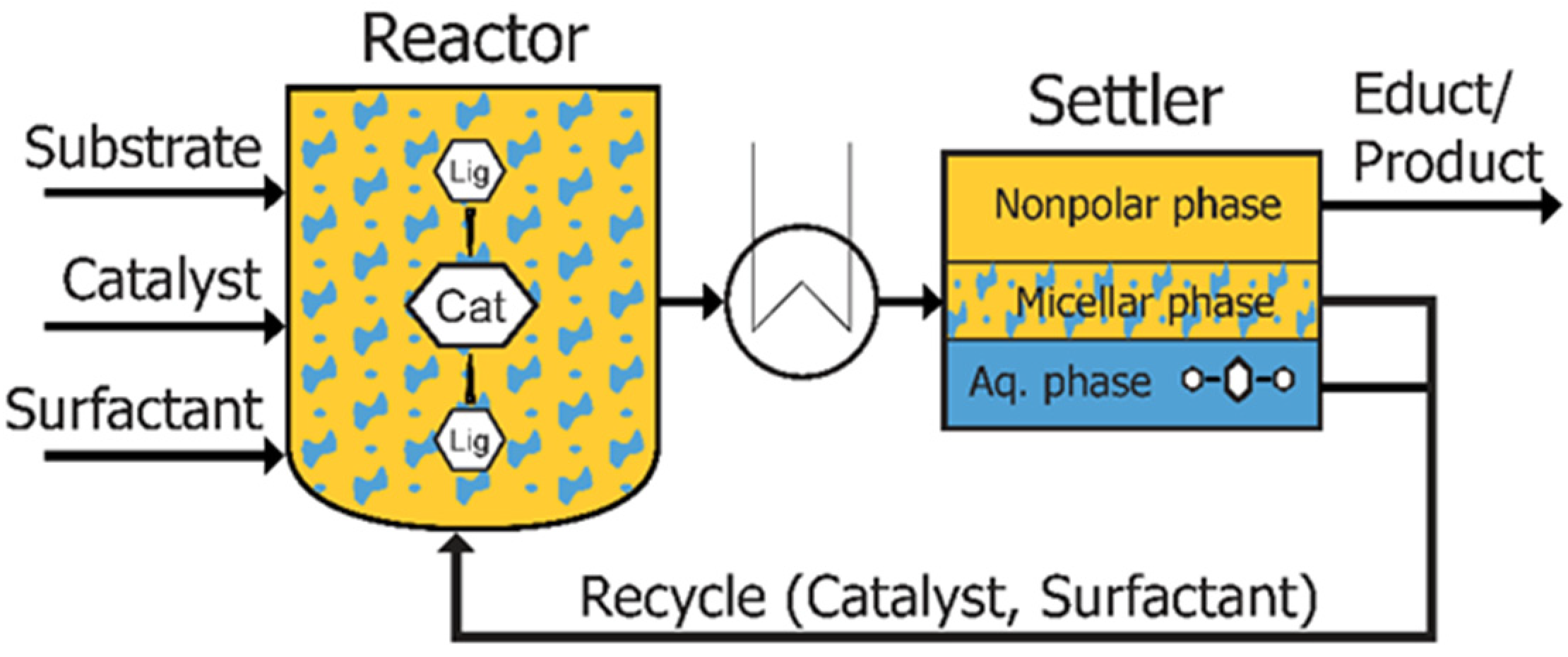 Molecules 28 04809 g025 Molecules 28 04809 g025