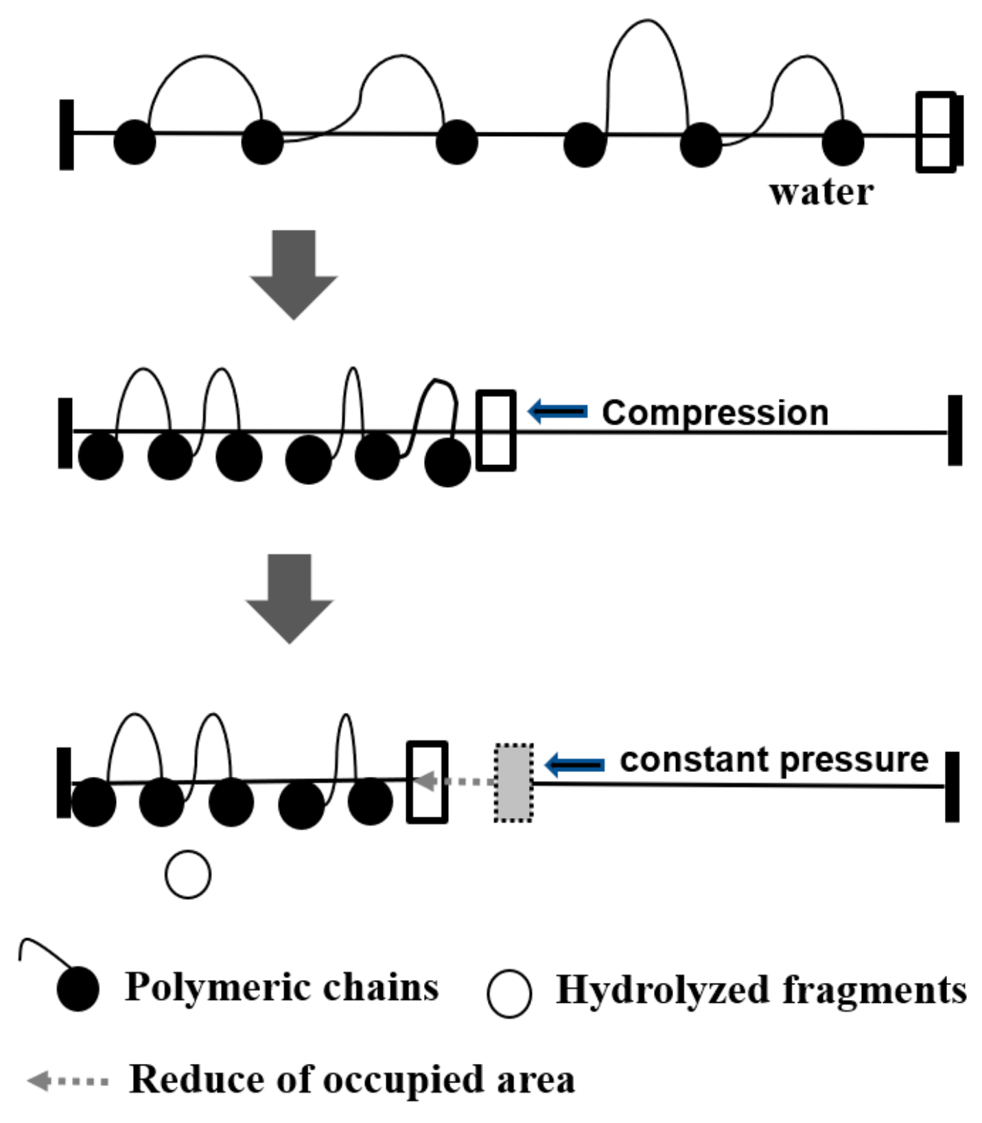 Molecules 28 04810 g004 Molecules 28 04810 g004