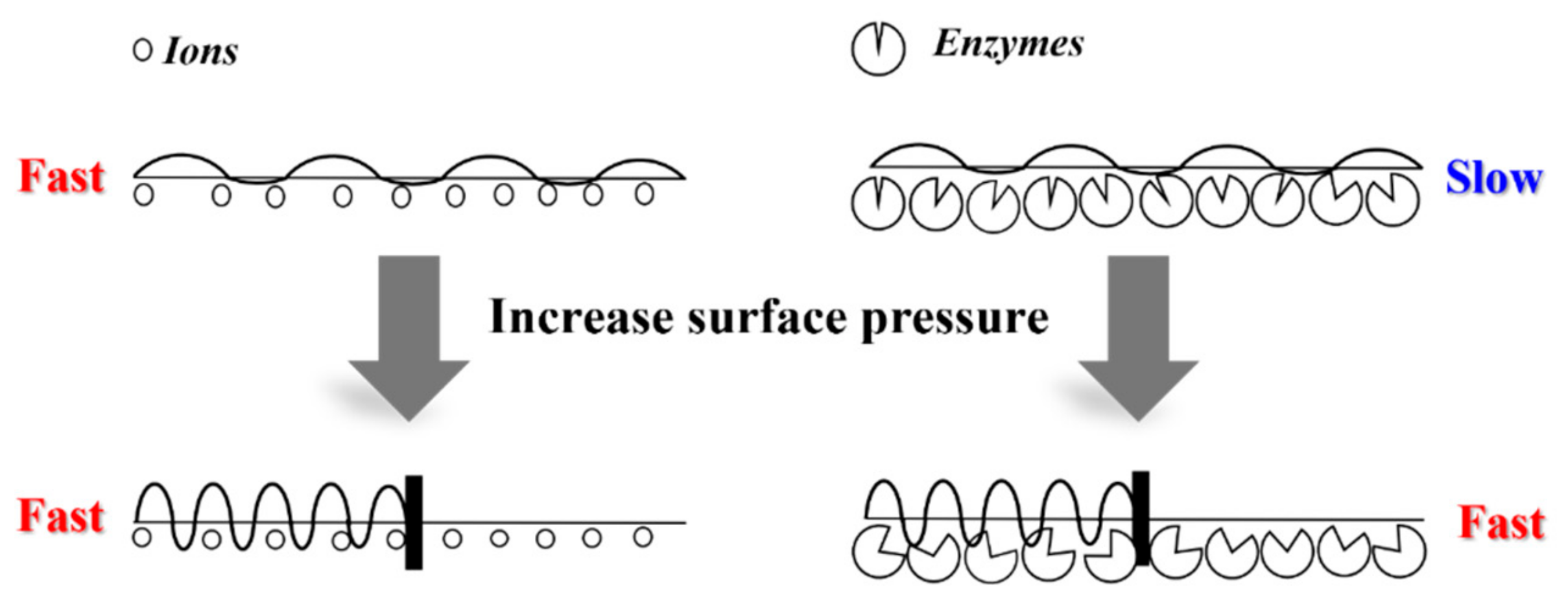 Molecules 28 04810 g010 Molecules 28 04810 g010