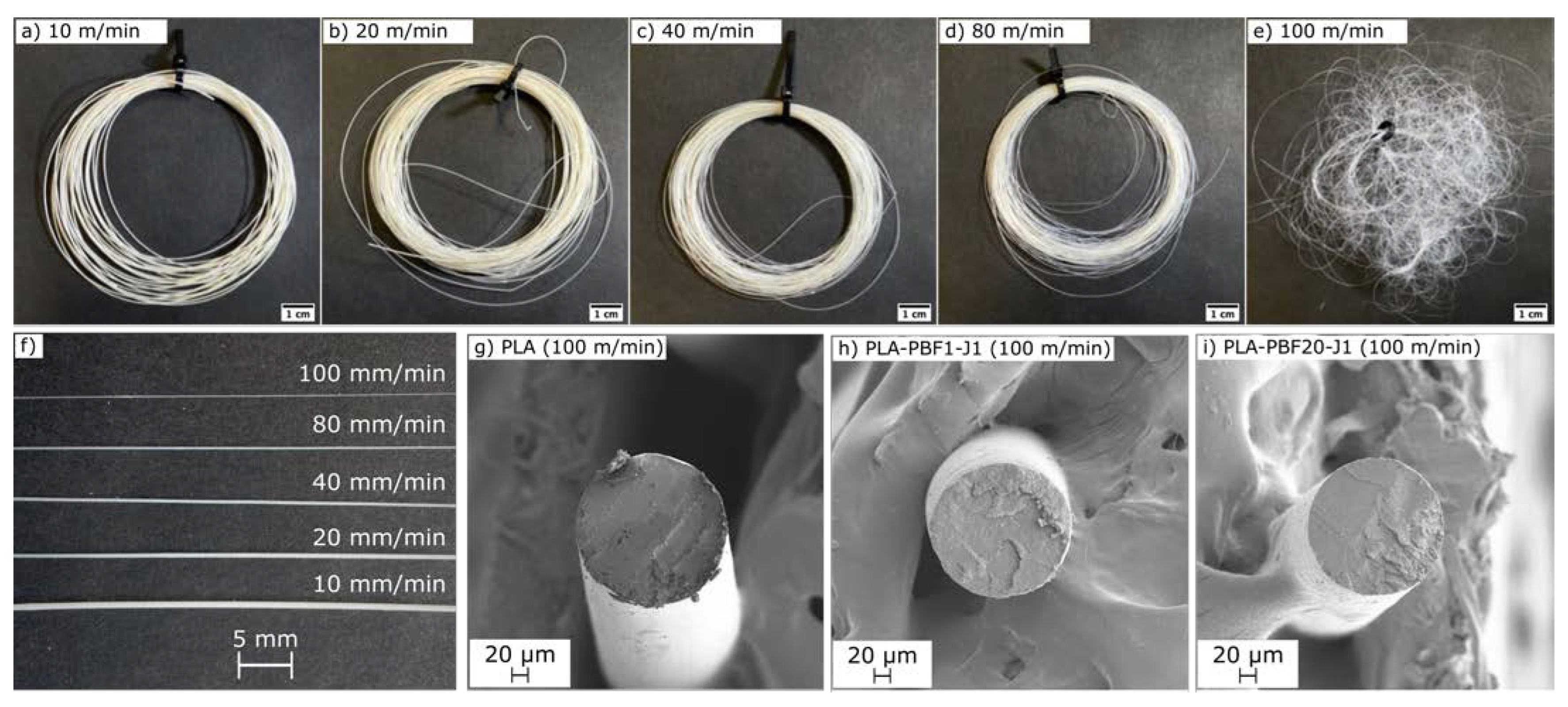 Molecules 28 04811 g007