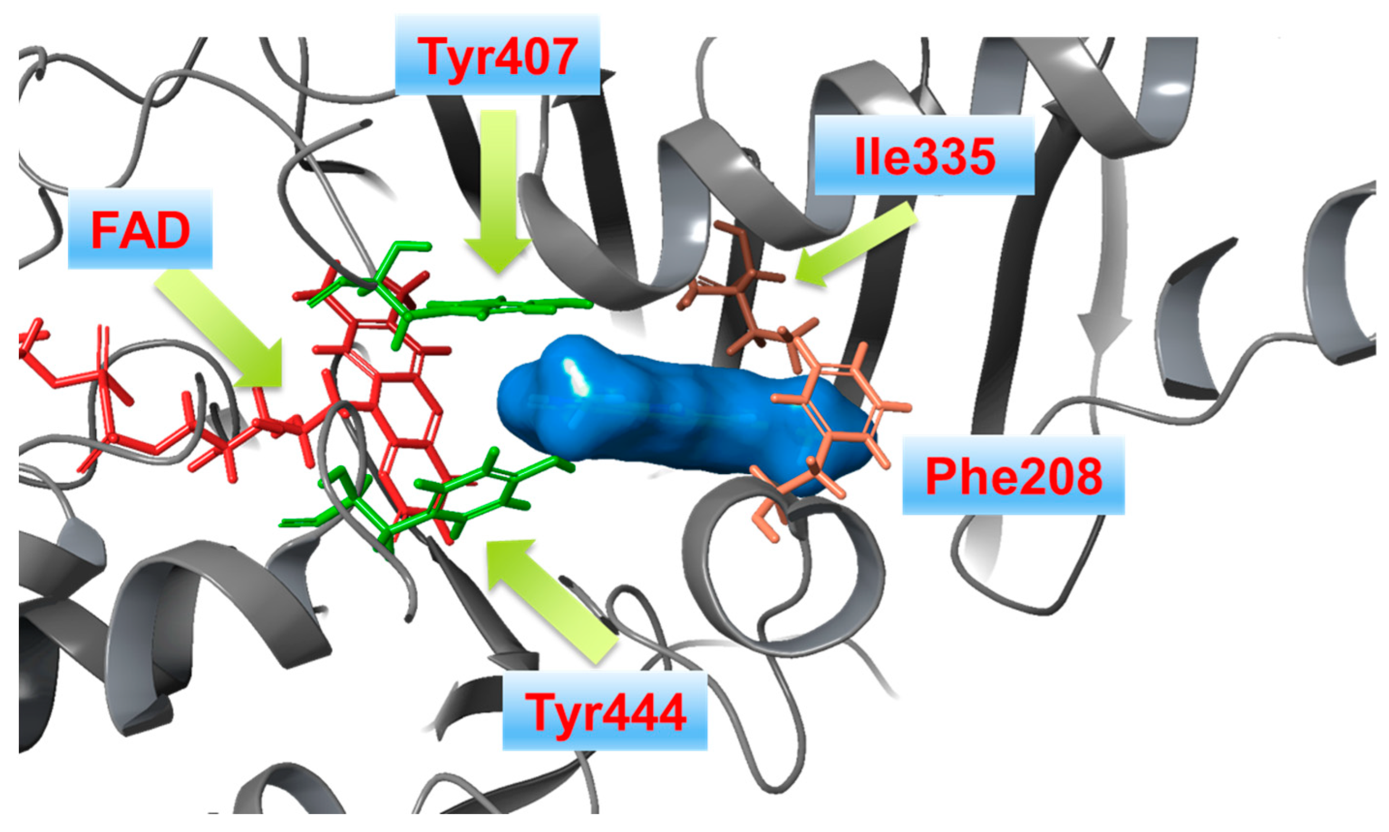 Molecules 28 04814 g002
