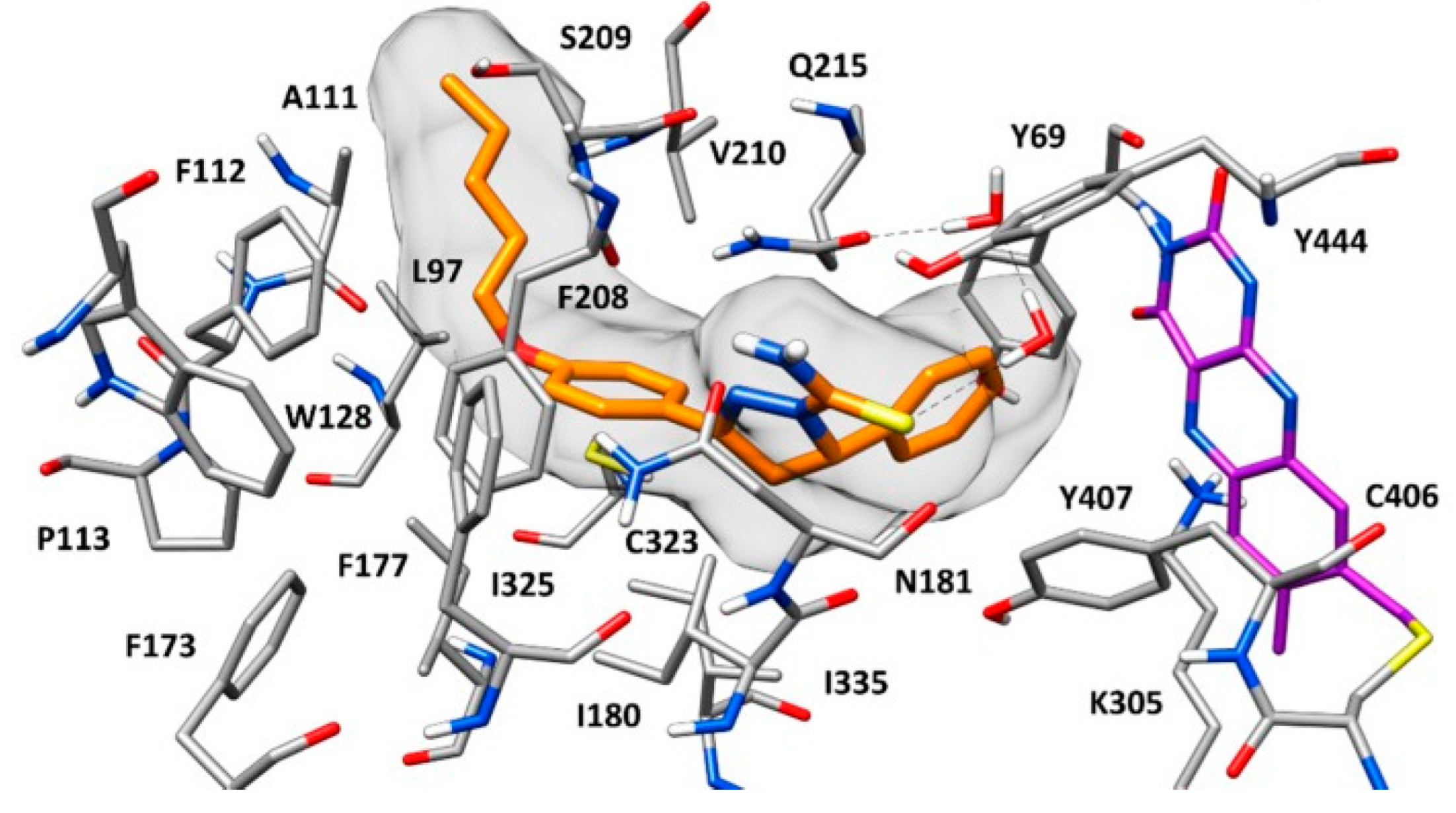 Molecules 28 04814 g020