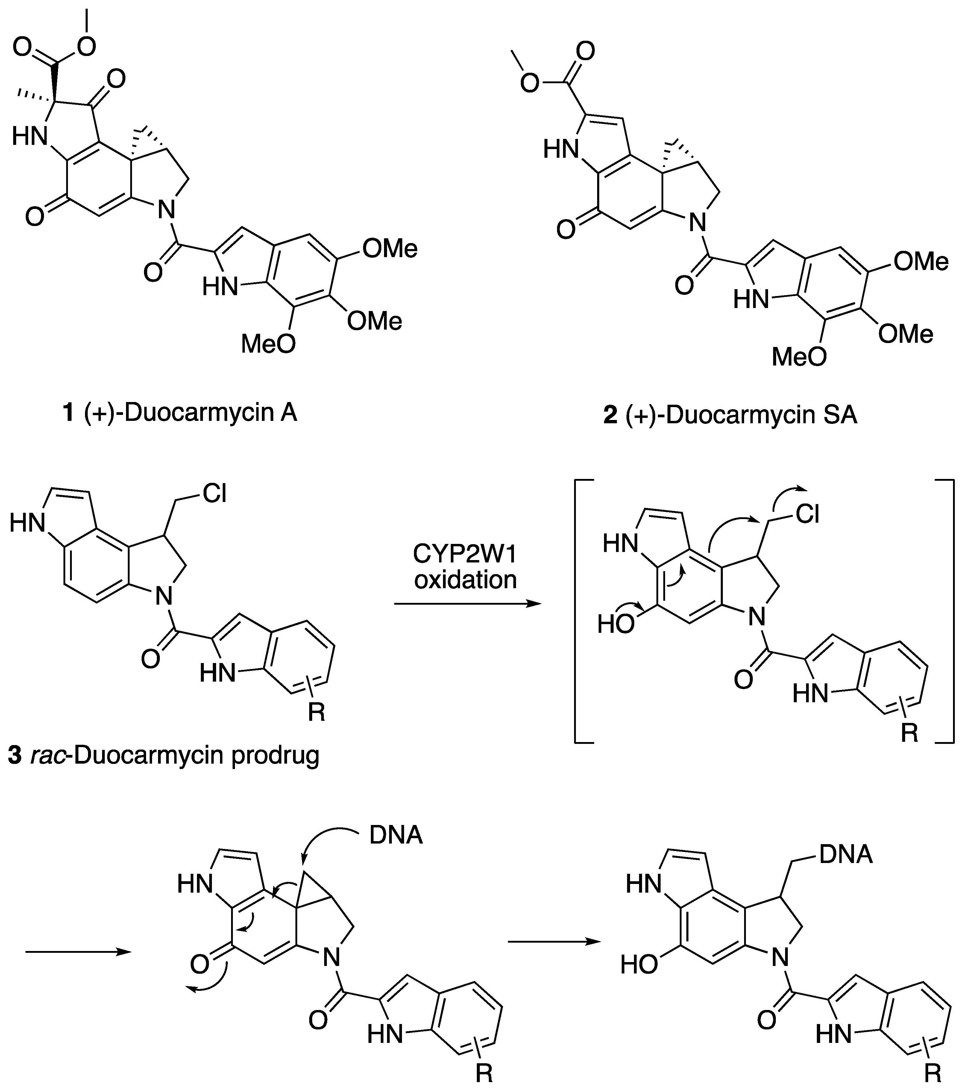 Molecules 28 04818 g001 Molecules 28 04818 g001