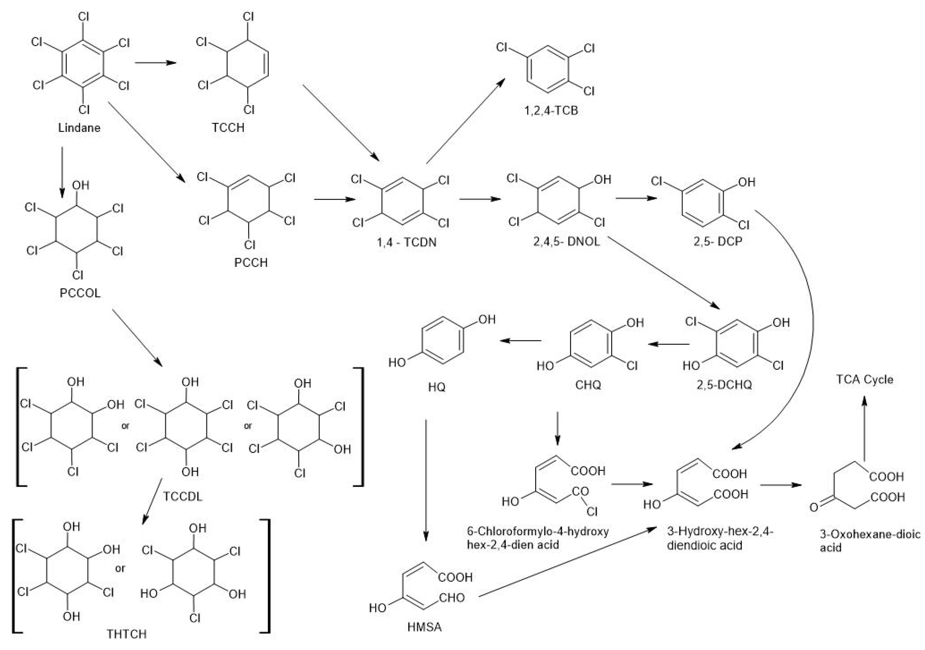 Molecules 28 04823 g002 Molecules 28 04823 g002