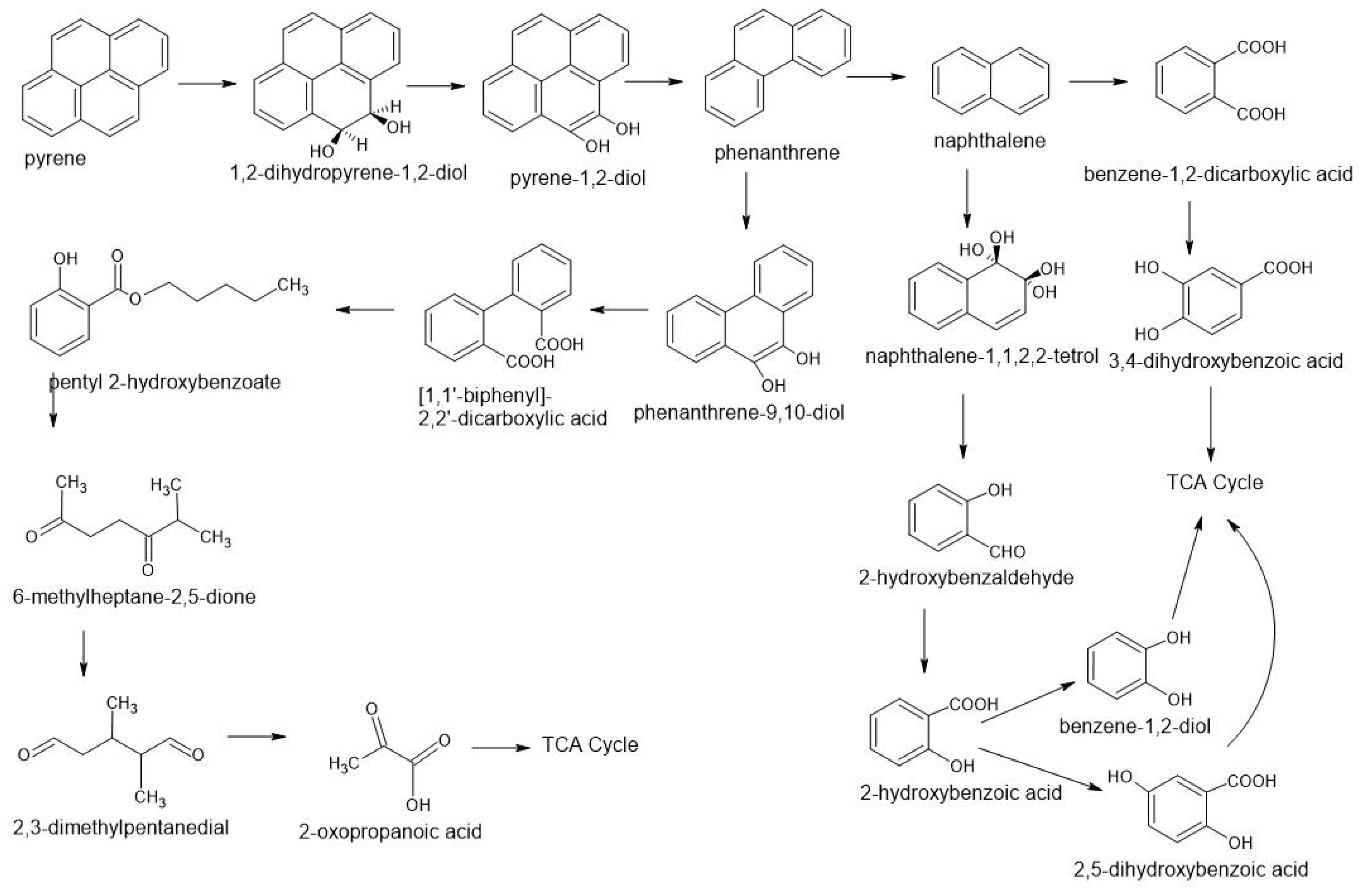 Molecules 28 04823 g003 Molecules 28 04823 g003