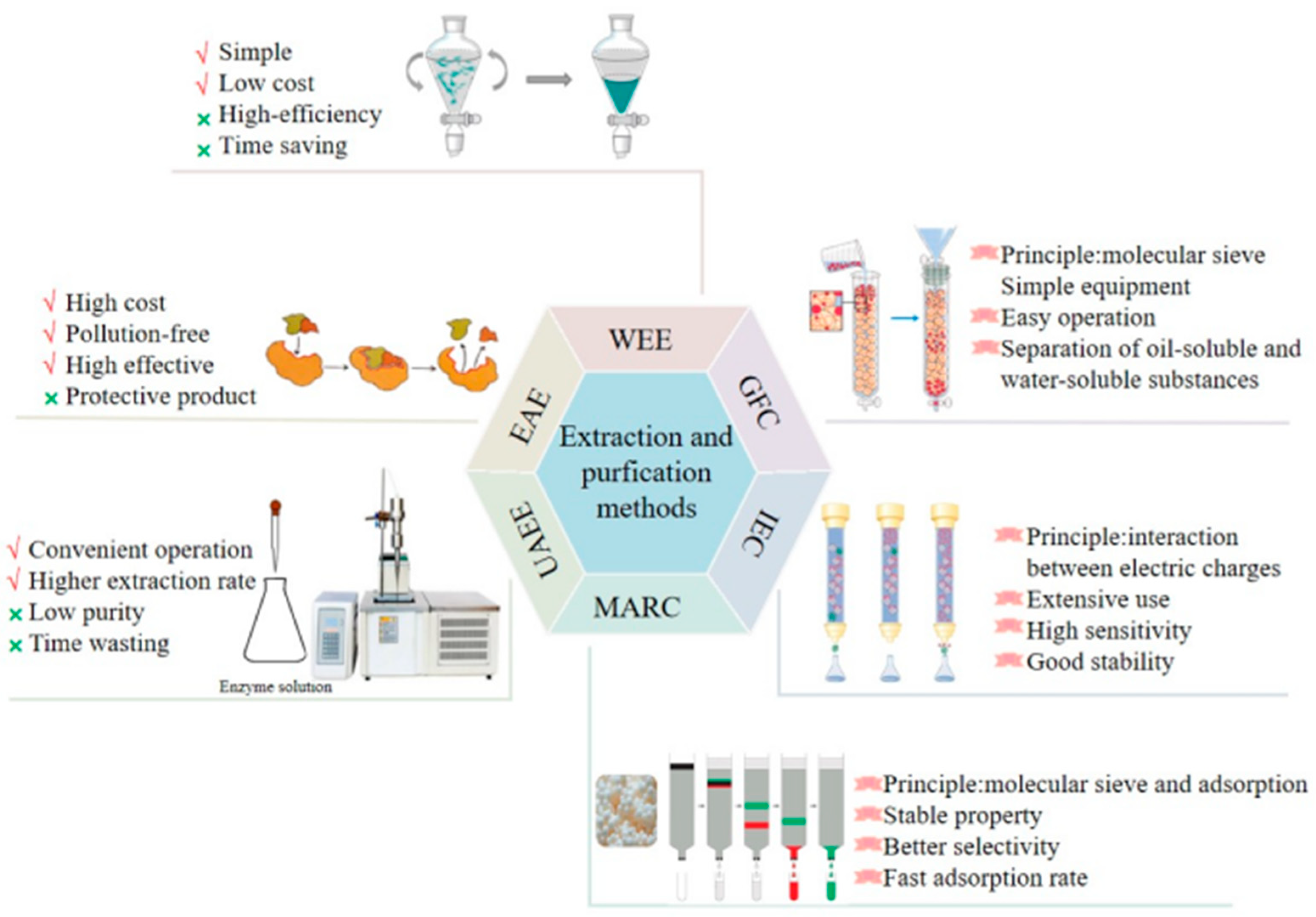 Molecules 28 04828 g002