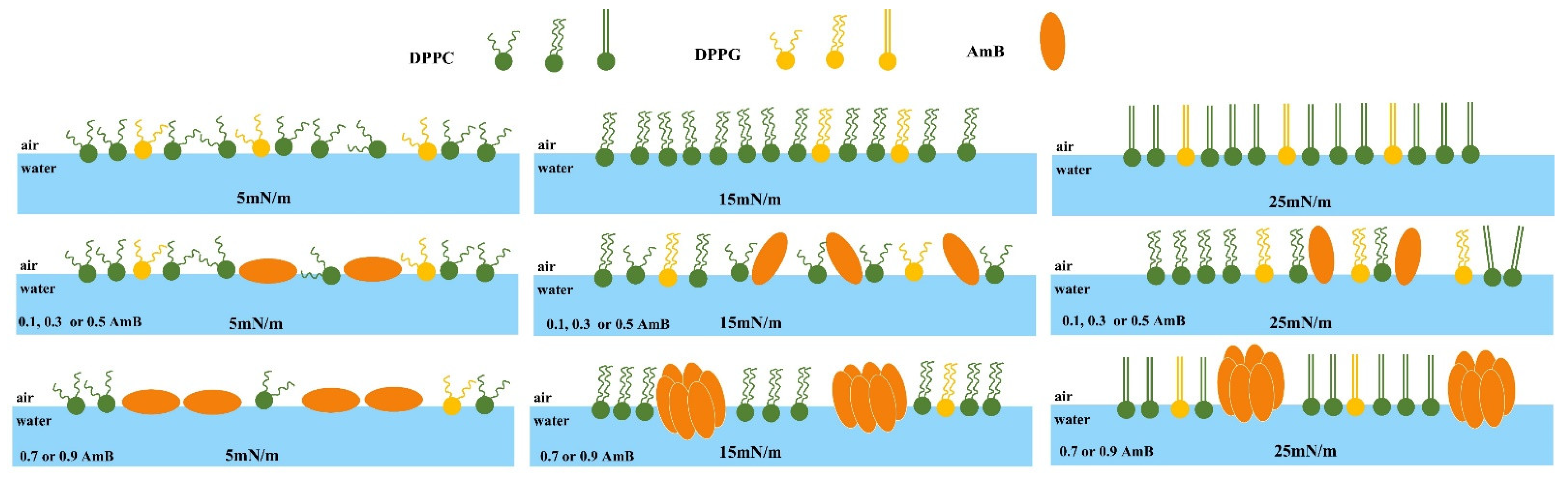 Molecules 28 04840 g006 Molecules 28 04840 g006