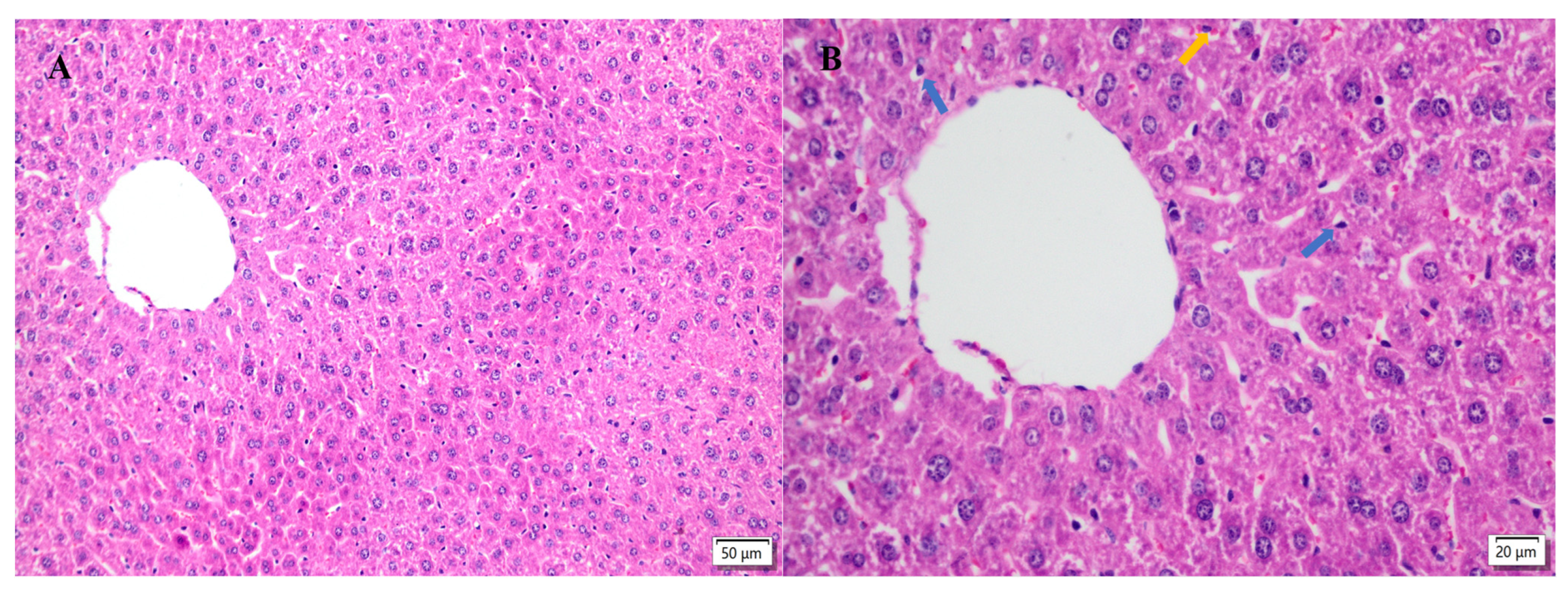 Molecules 28 04849 g005a Molecules 28 04849 g005a