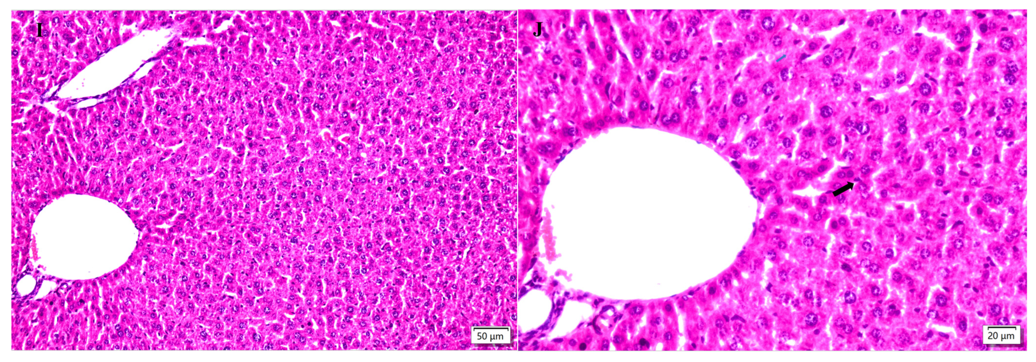 Molecules 28 04849 g005c Molecules 28 04849 g005c