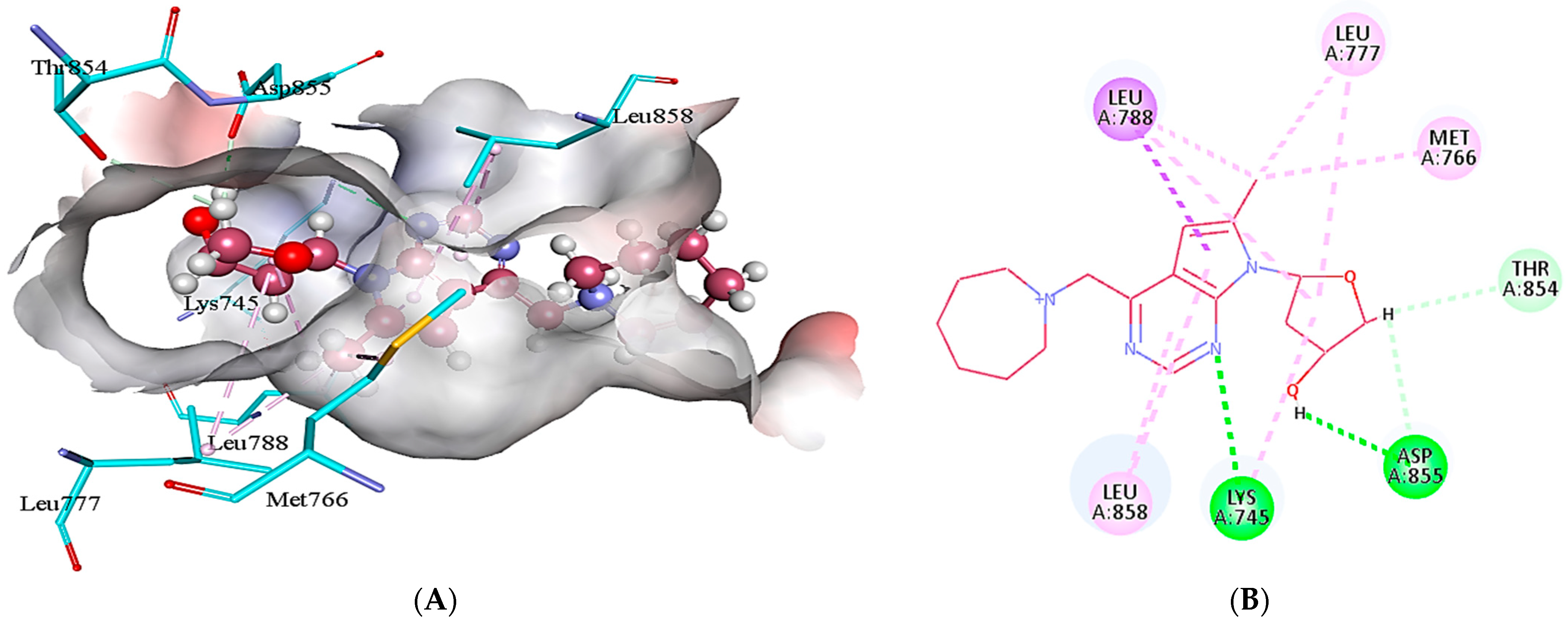 Molecules 28 04850 g005