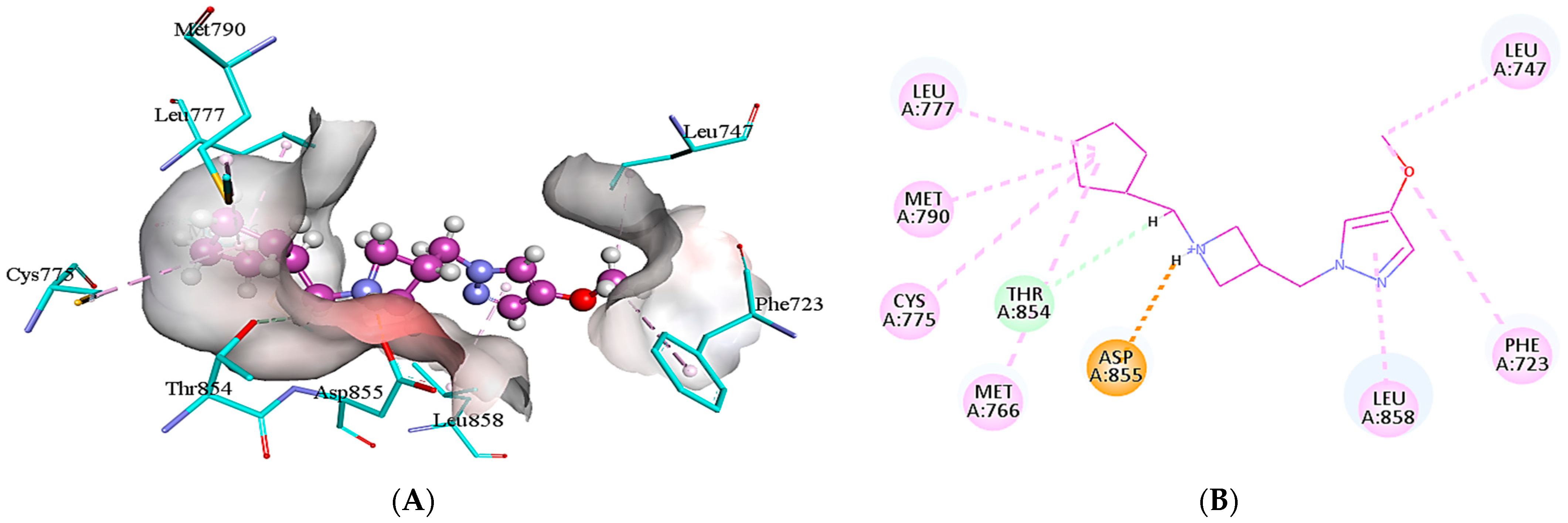 Molecules 28 04850 g006