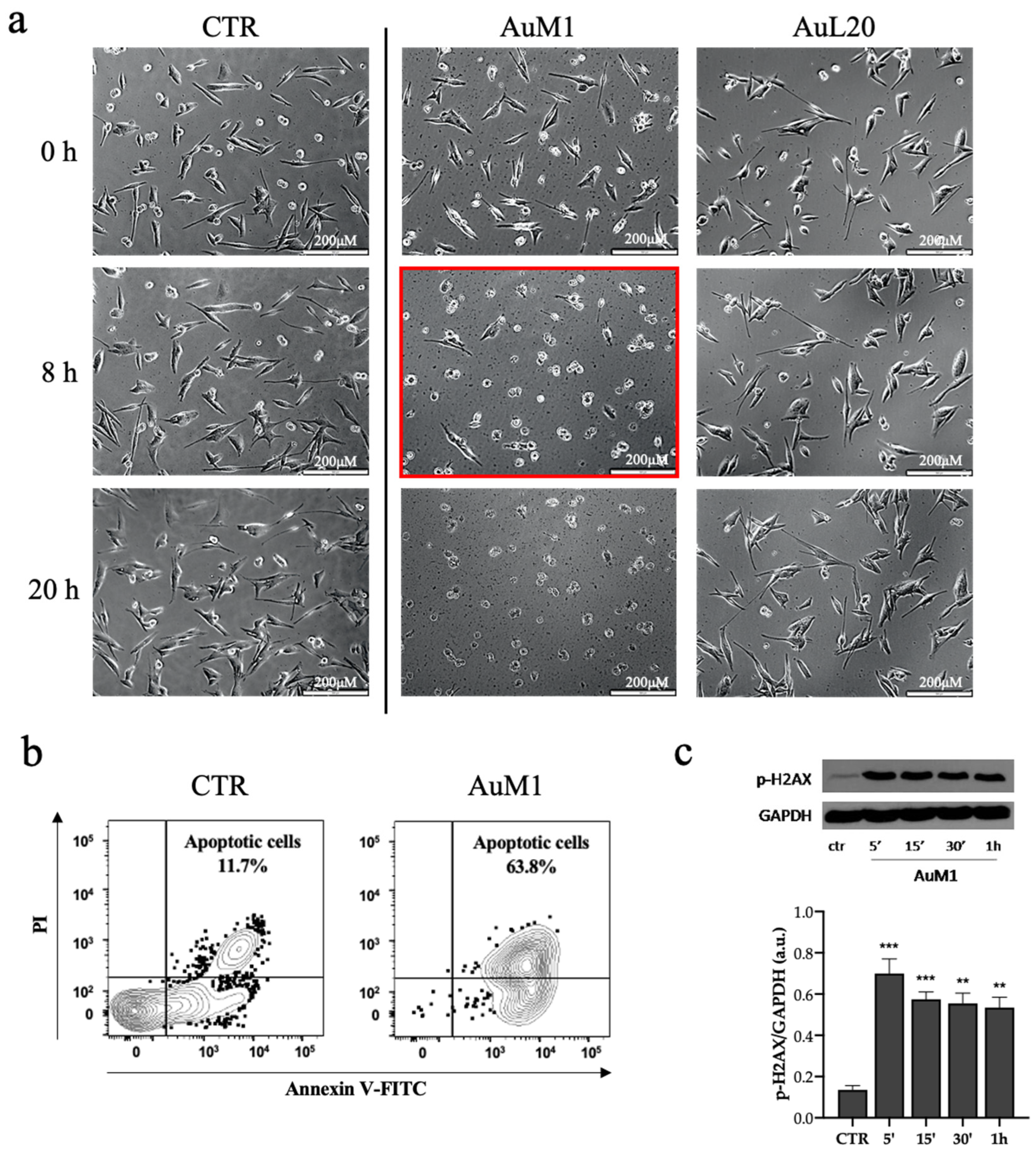 Molecules 28 04851 g004 Molecules 28 04851 g004