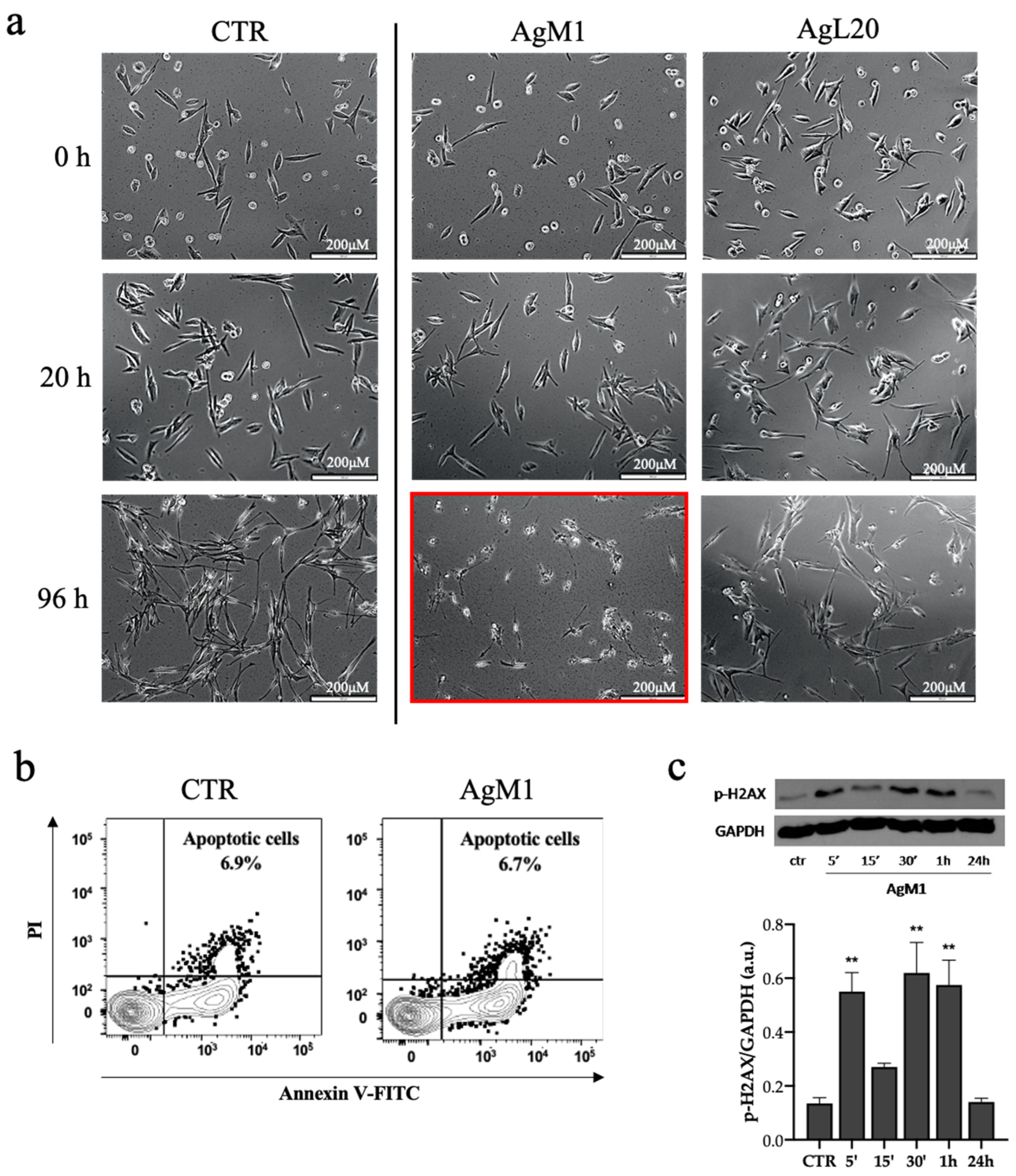Molecules 28 04851 g005 Molecules 28 04851 g005