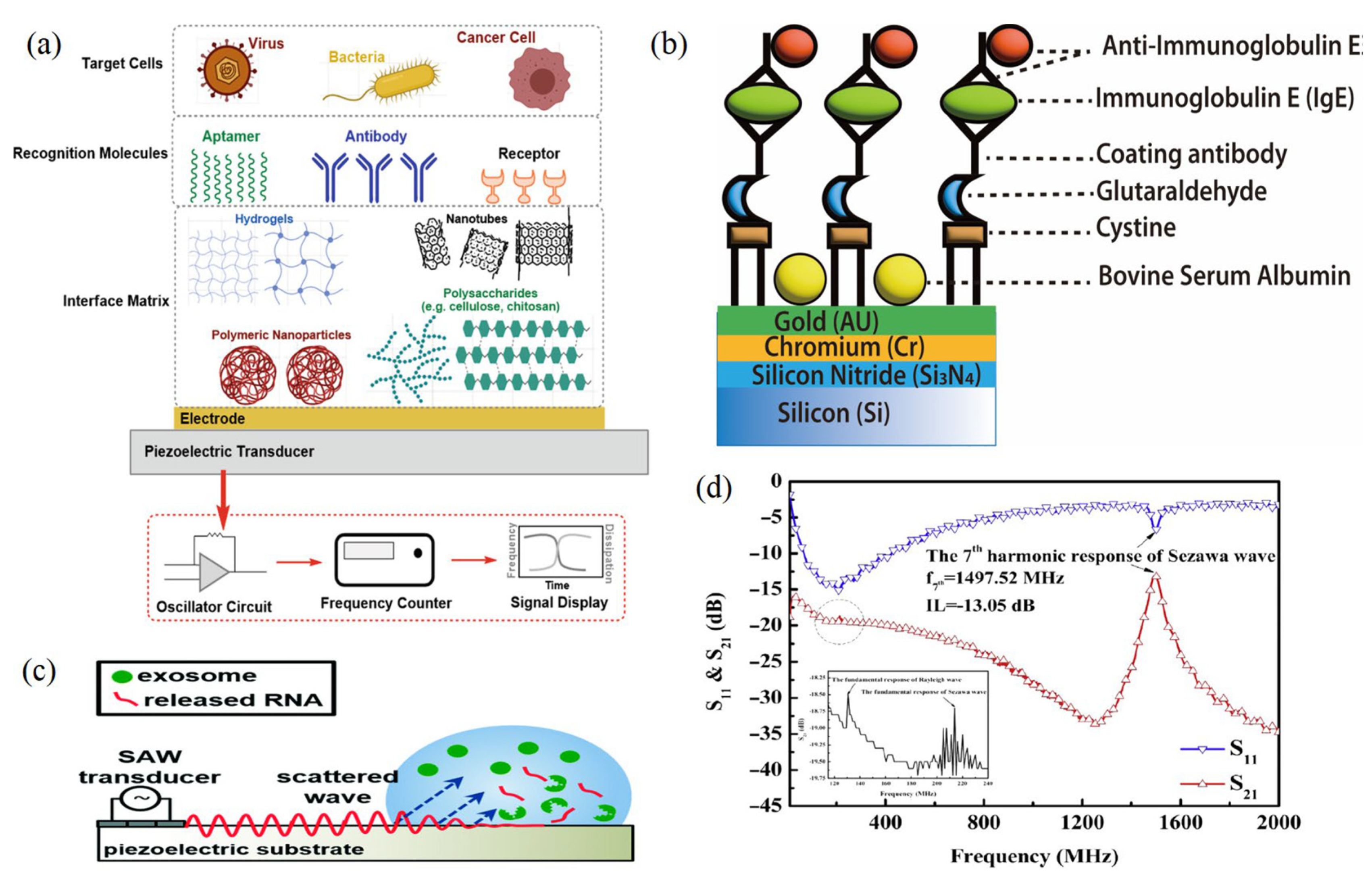 Molecules 28 04855 g006