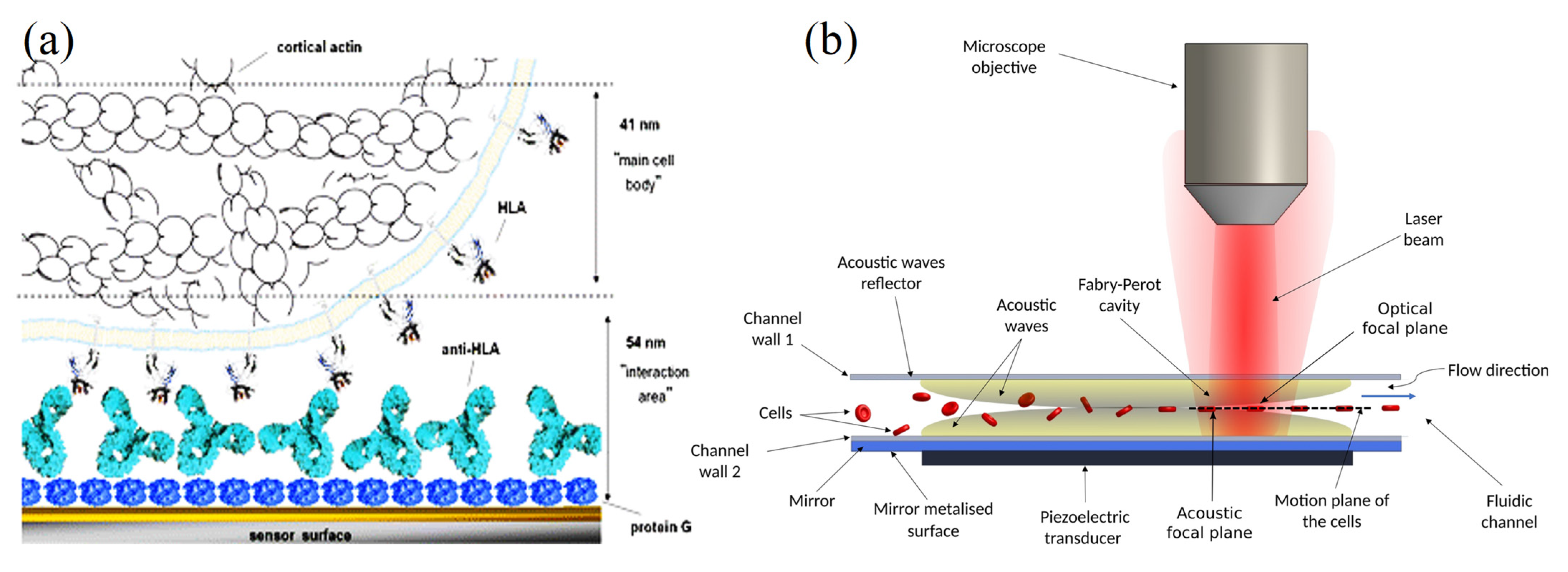 Molecules 28 04855 g008