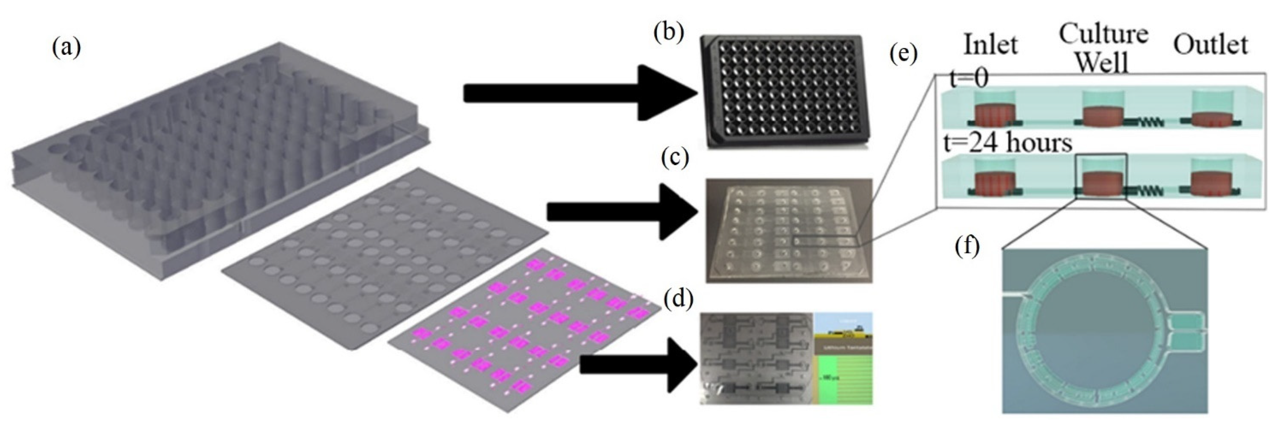 Molecules 28 04855 g011