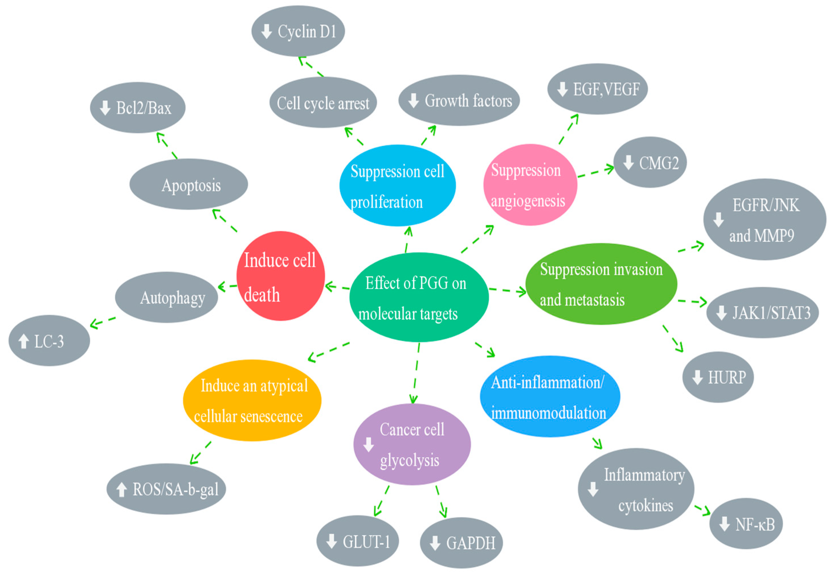 Molecules 28 04856 g002