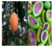 Molecules 28 04856 i001