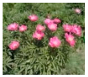 Molecules 28 04856 i003