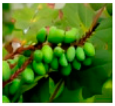 Molecules 28 04856 i010