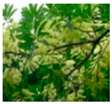 Molecules 28 04856 i012