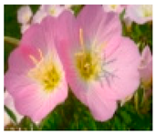 Molecules 28 04856 i013