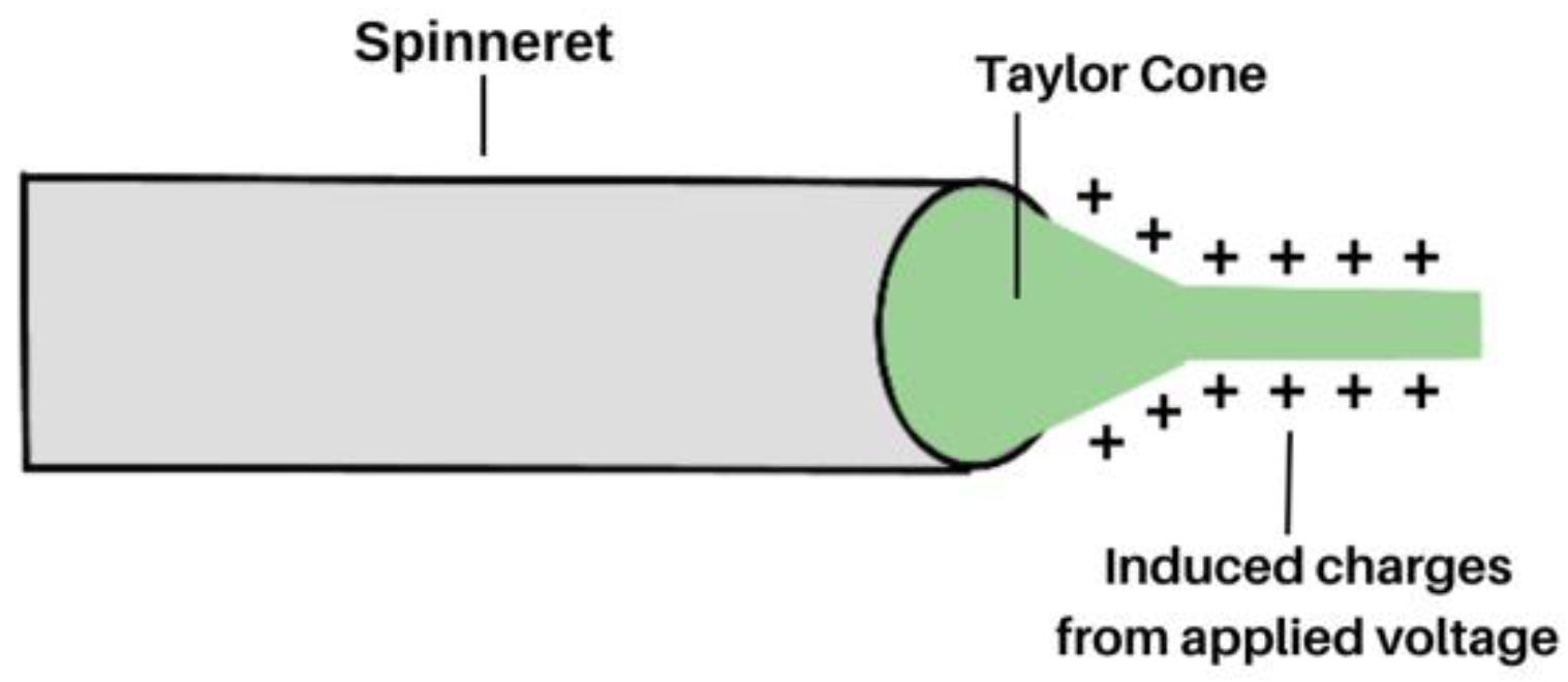 Molecules 28 04857 g002 Molecules 28 04857 g002