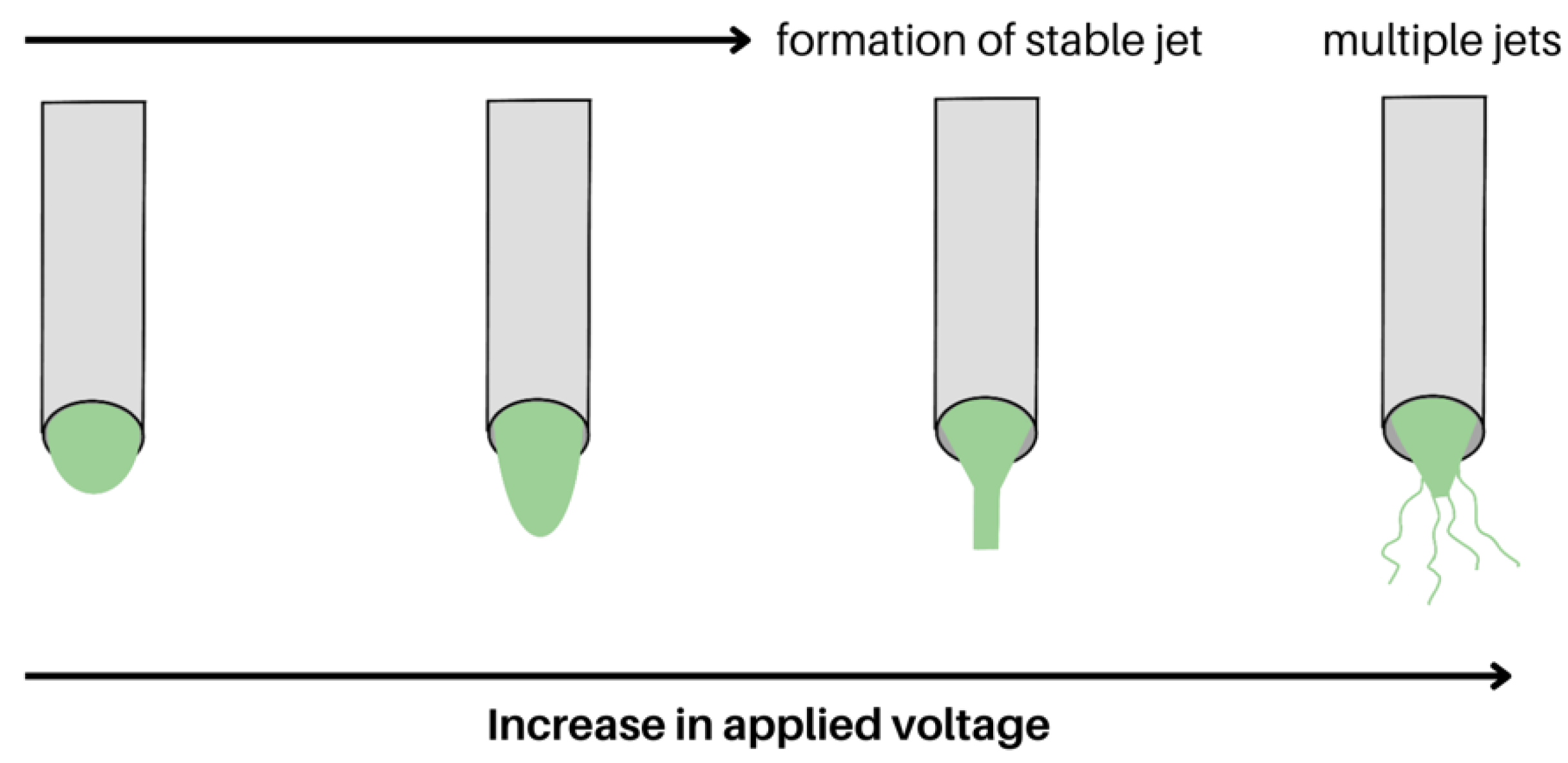 Molecules 28 04857 g006 Molecules 28 04857 g006