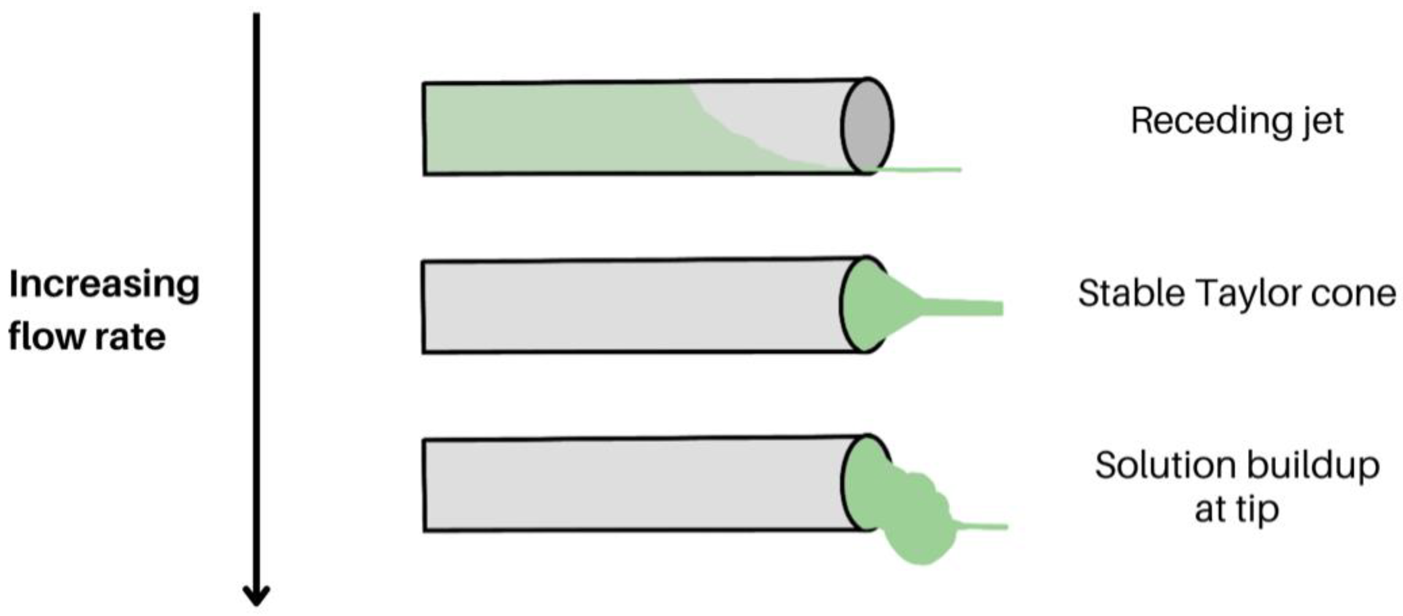 Molecules 28 04857 g007 Molecules 28 04857 g007