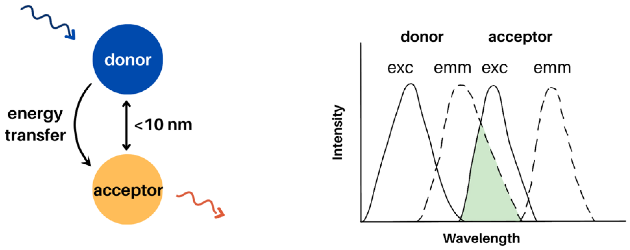 Molecules 28 04857 g011 Molecules 28 04857 g011