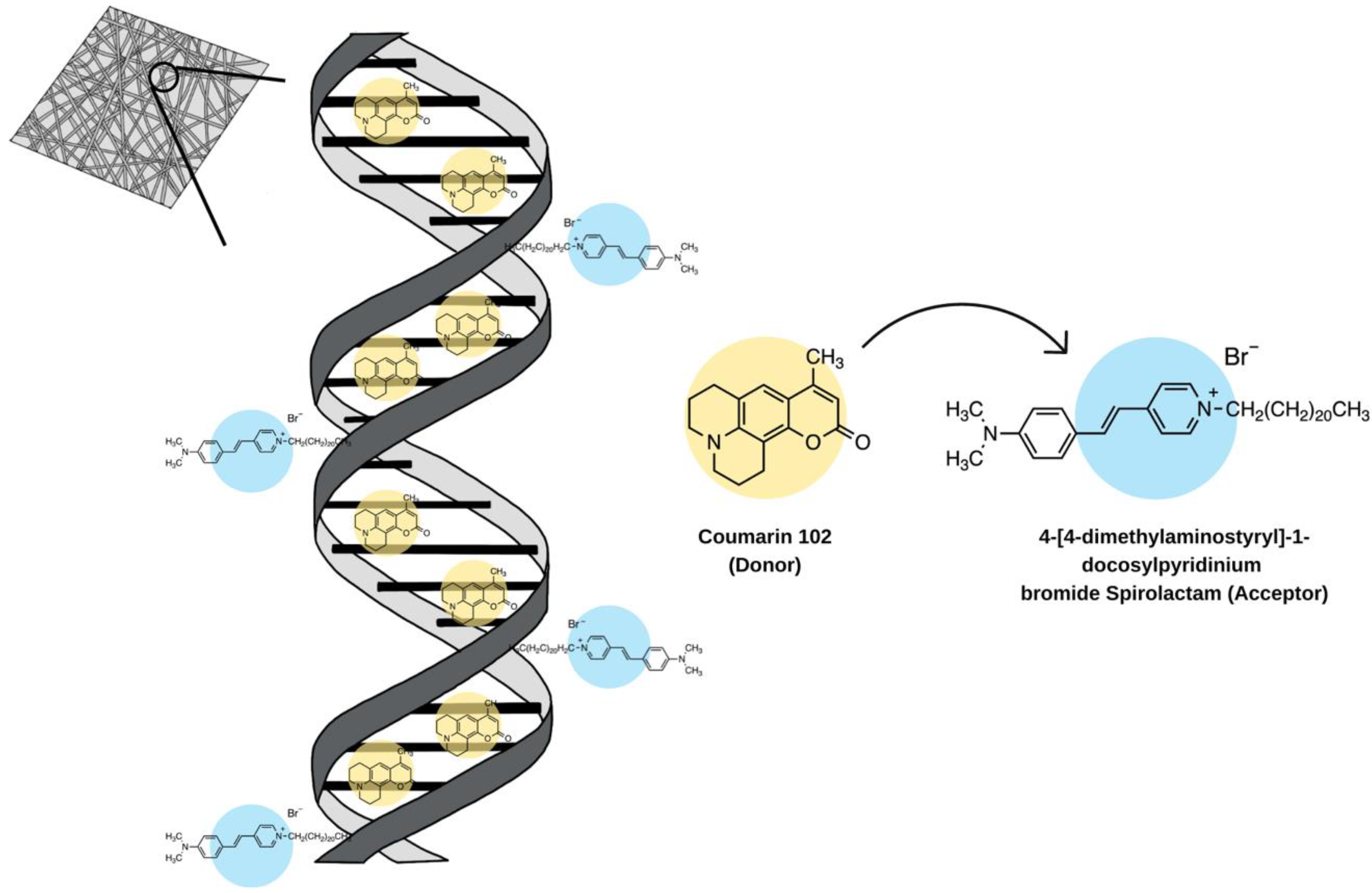 Molecules 28 04857 g013 Molecules 28 04857 g013