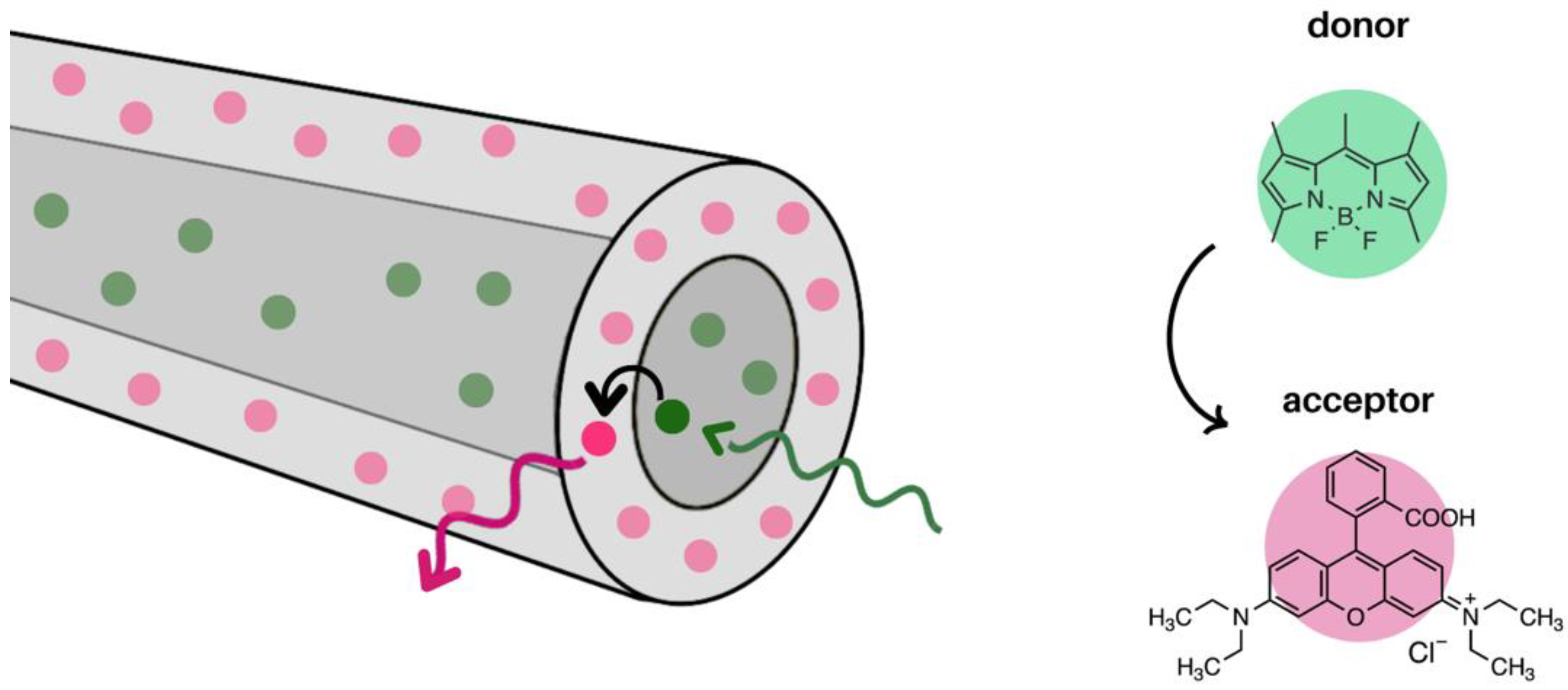 Molecules 28 04857 g016 Molecules 28 04857 g016