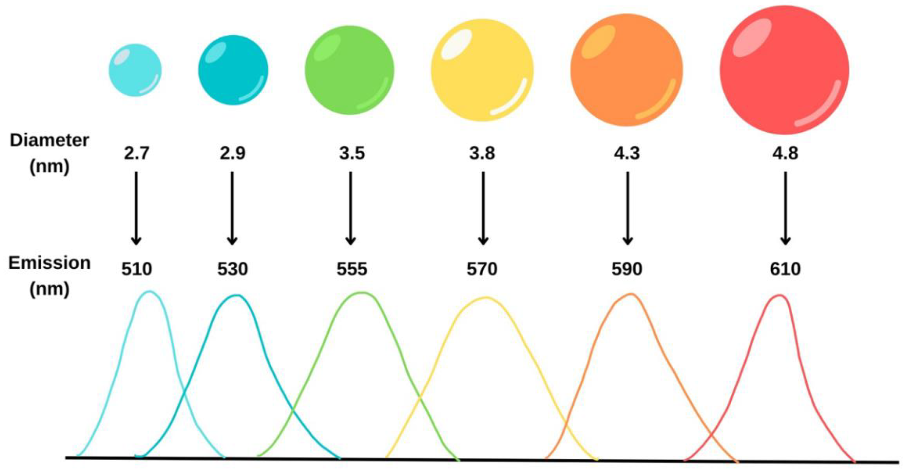 Molecules 28 04857 g017 Molecules 28 04857 g017