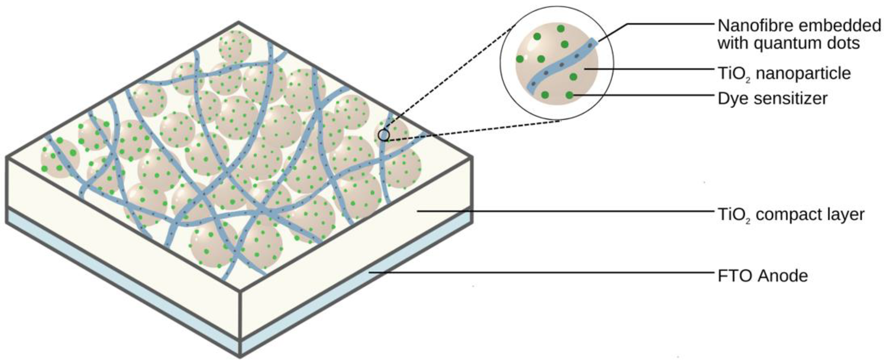 Molecules 28 04857 g018 Molecules 28 04857 g018