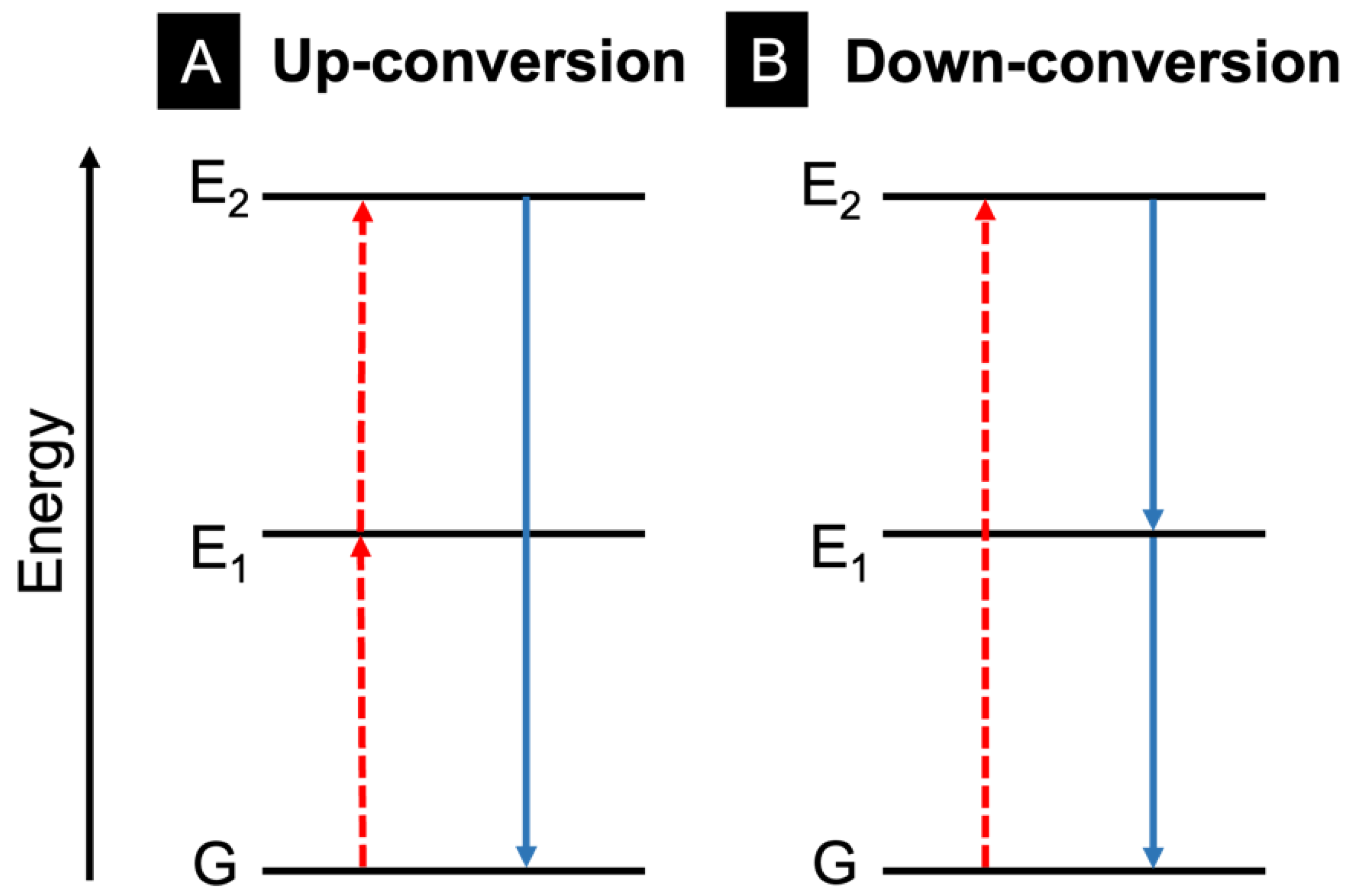 Molecules 28 04857 g021 Molecules 28 04857 g021