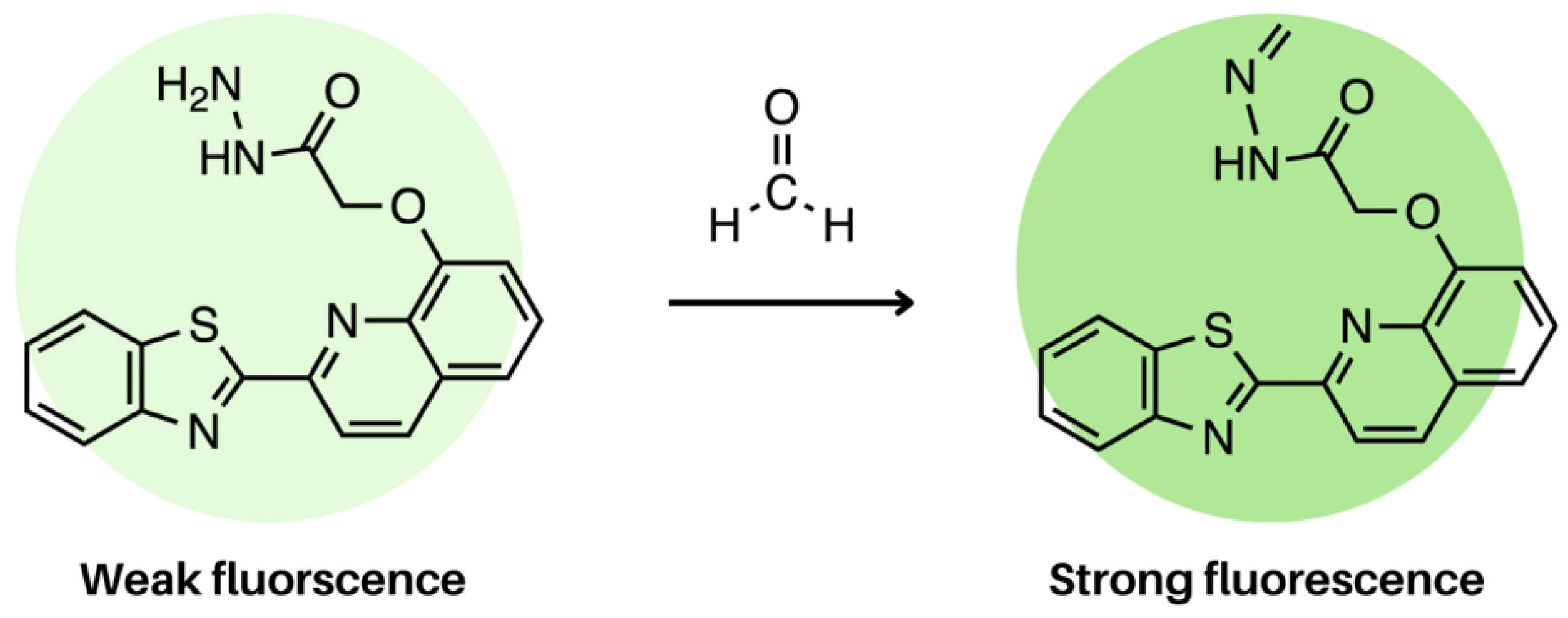 Molecules 28 04857 g026 Molecules 28 04857 g026