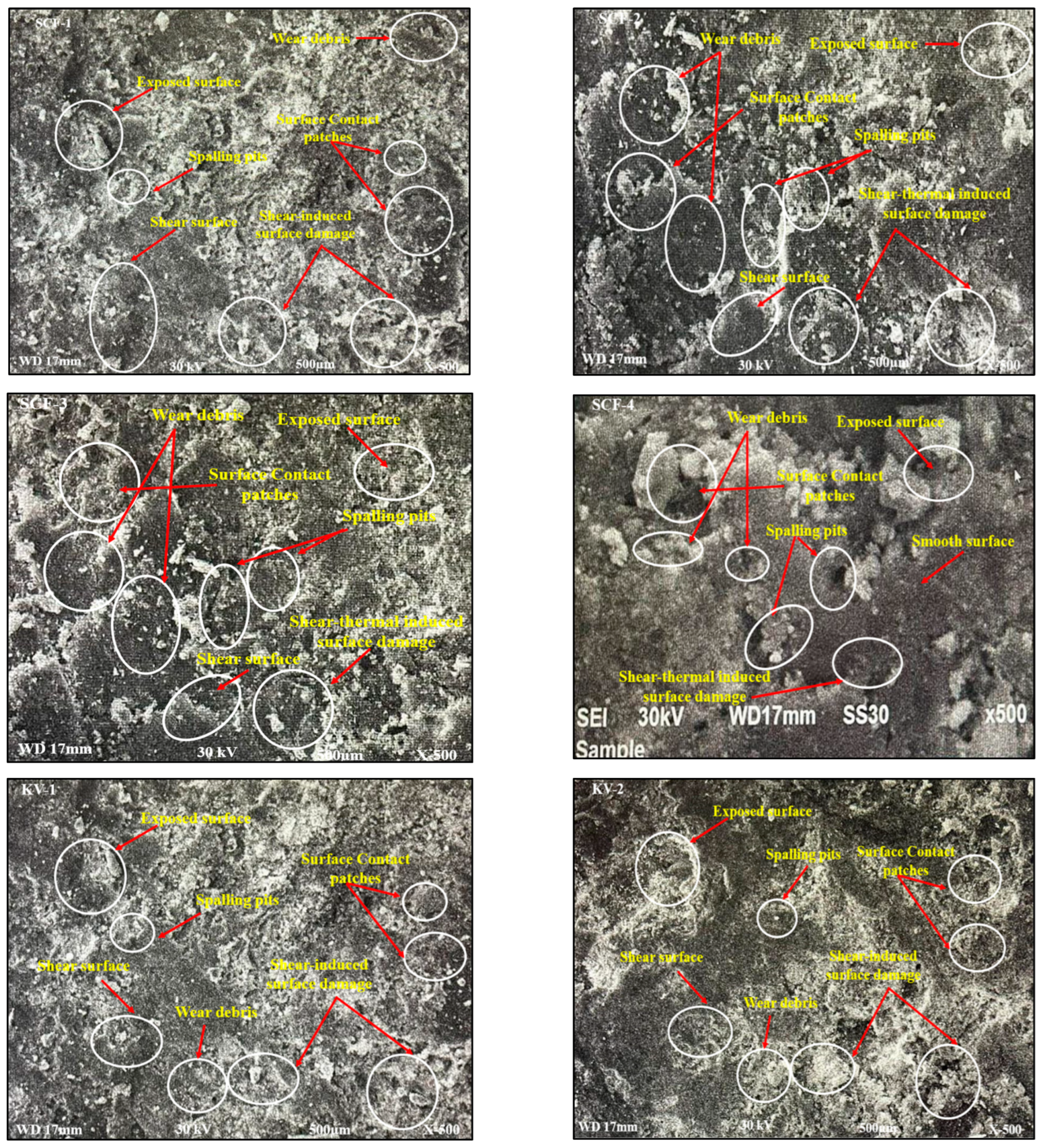 Molecules 28 04861 g007