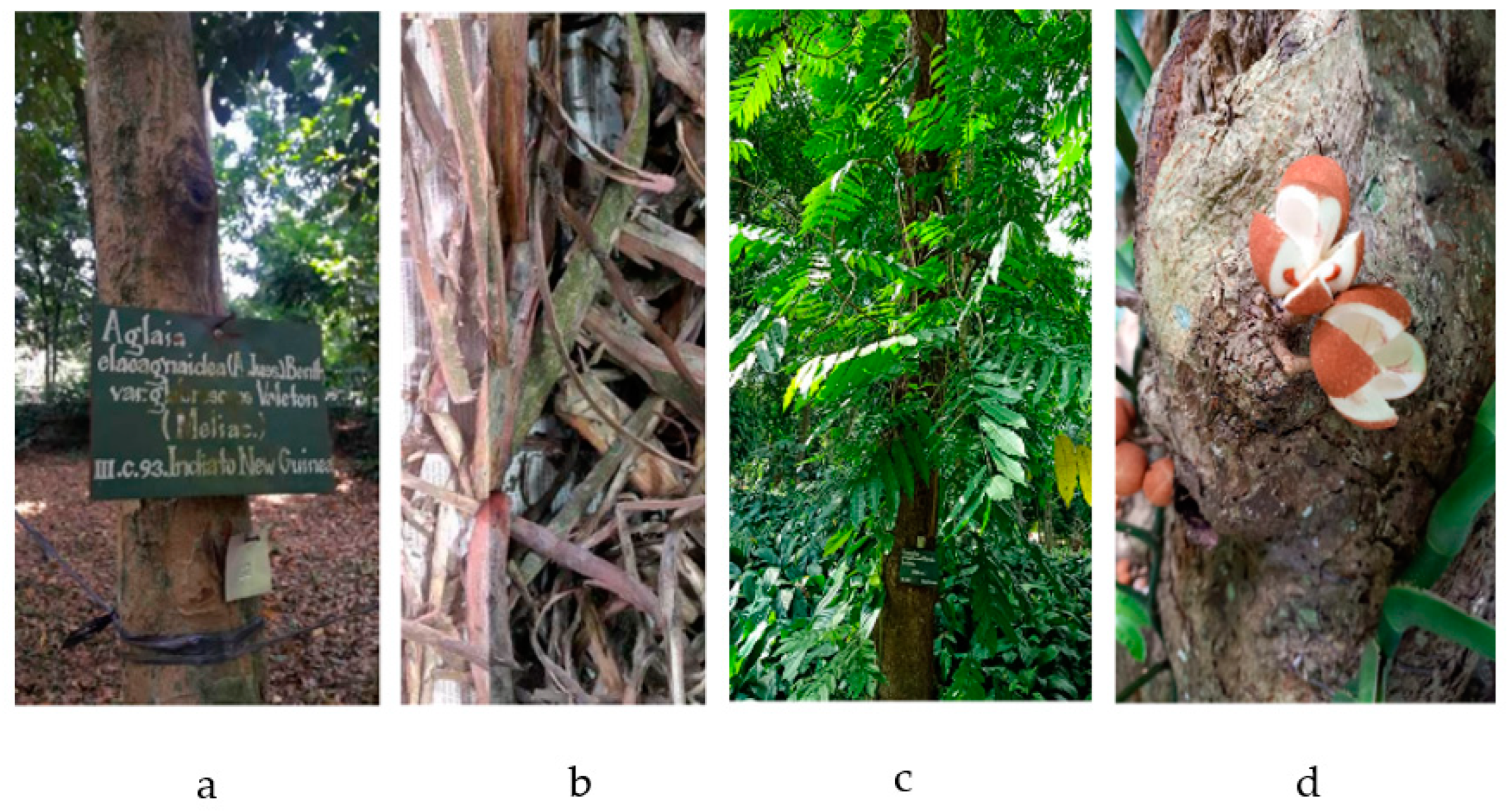 Molecules 28 04874 g001 Molecules 28 04874 g001