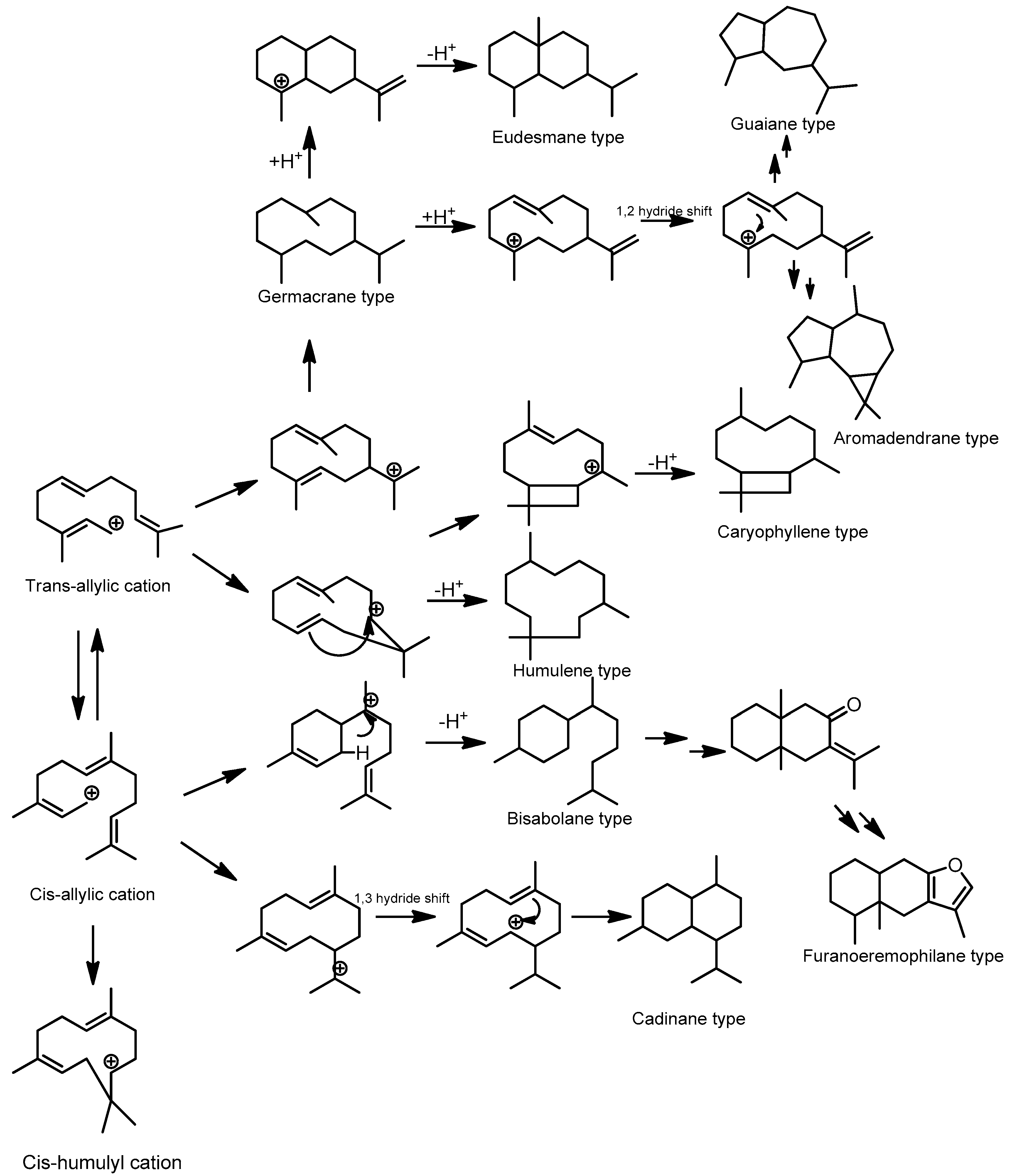 Molecules 28 04874 g003 Molecules 28 04874 g003