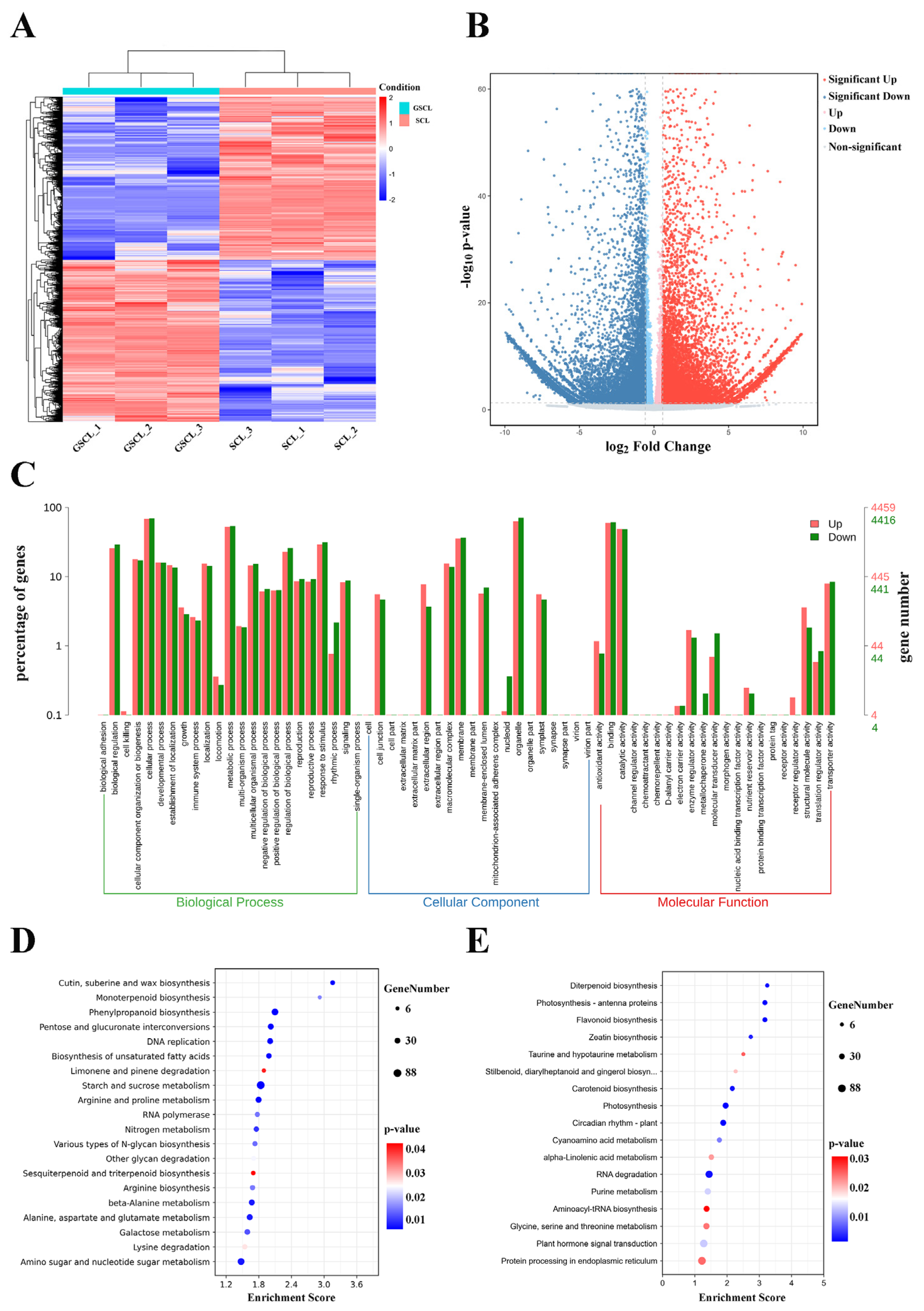 Molecules 28 04877 g004 Molecules 28 04877 g004