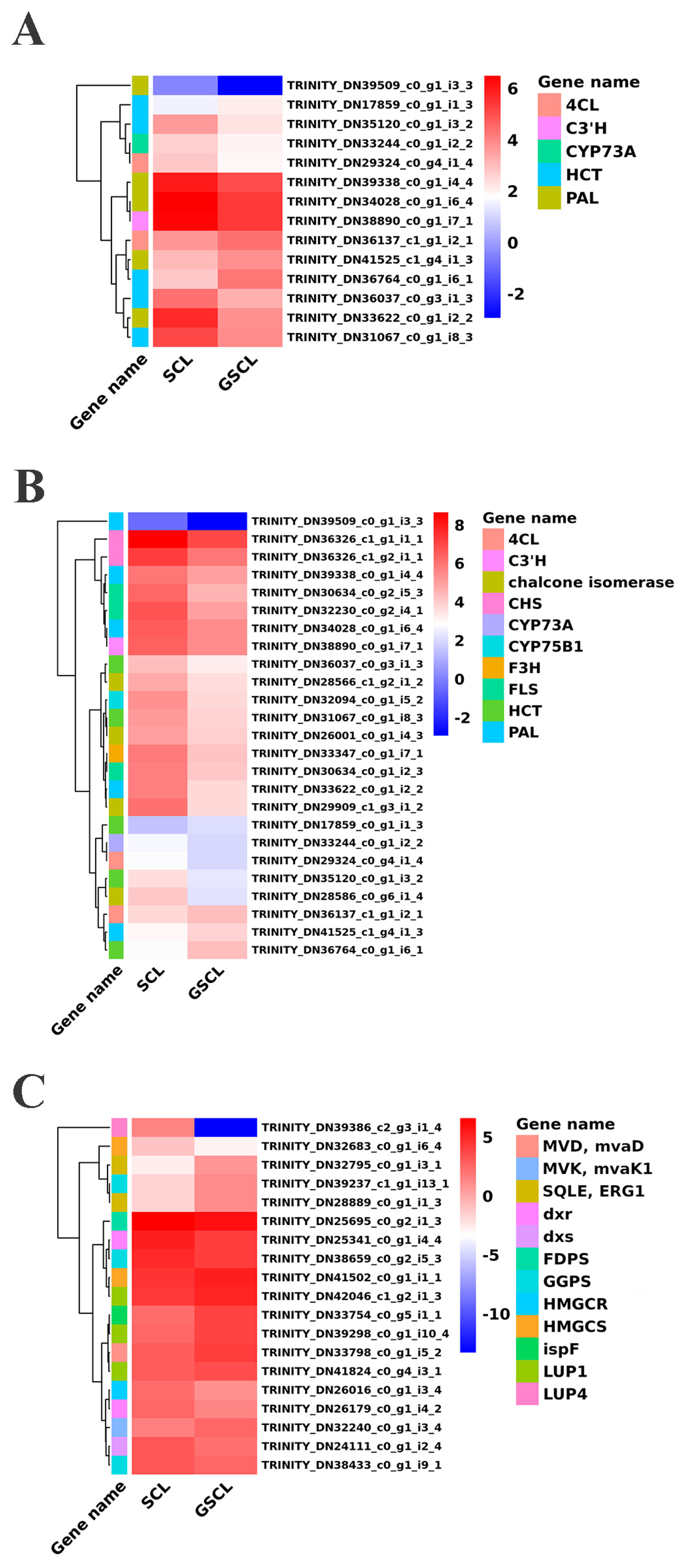 Molecules 28 04877 g005 Molecules 28 04877 g005