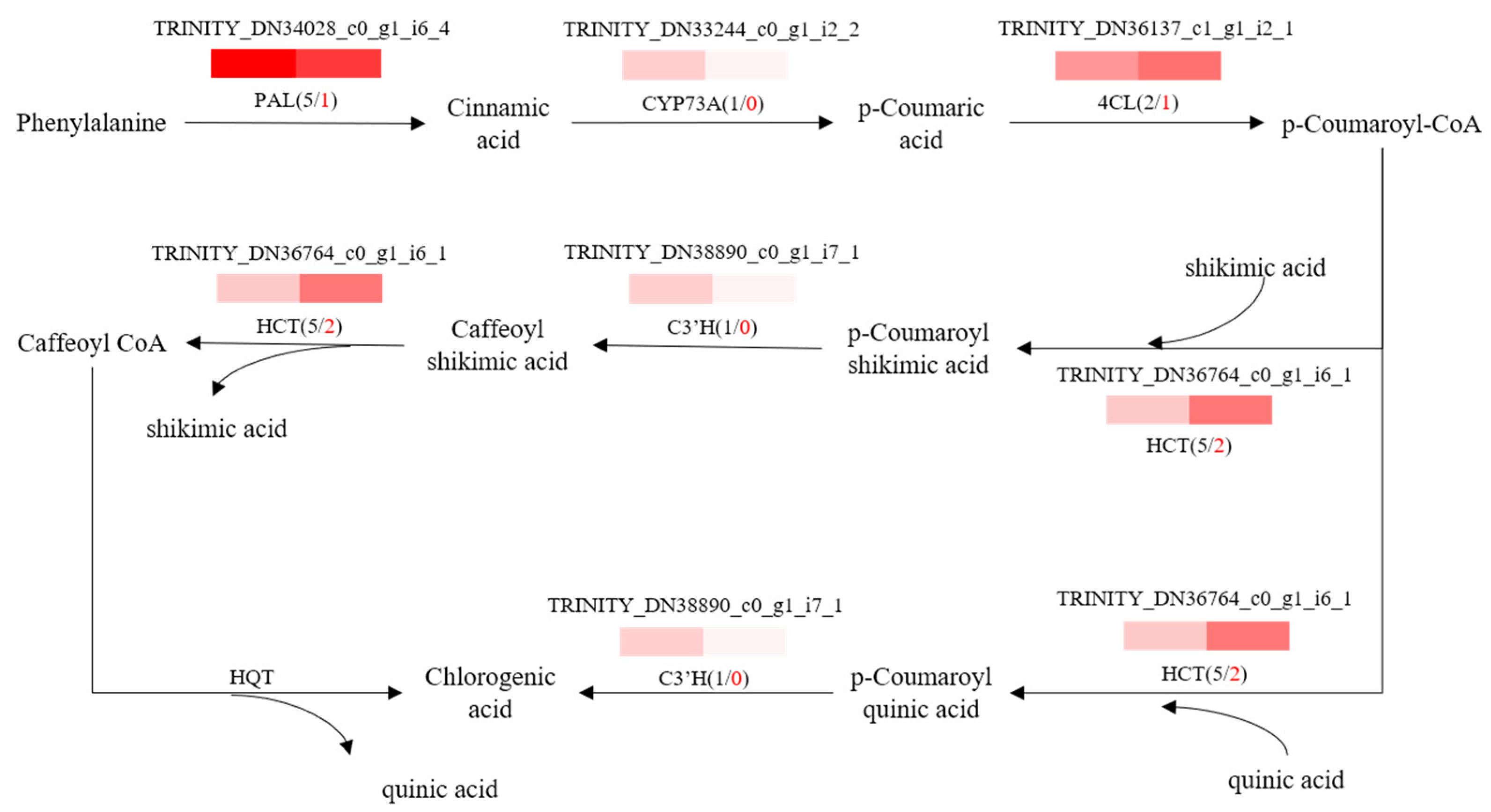 Molecules 28 04877 g006 Molecules 28 04877 g006