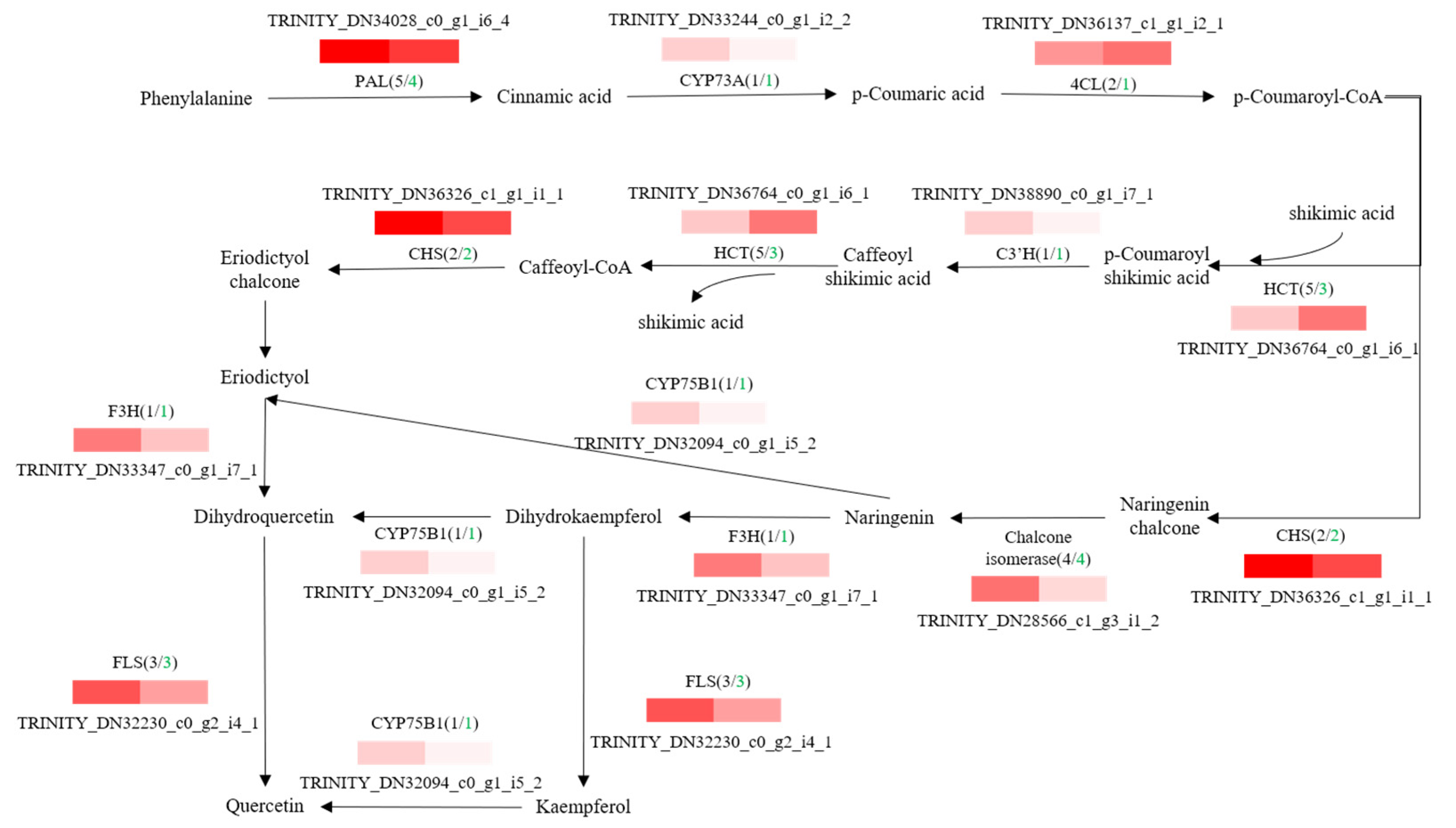 Molecules 28 04877 g007 Molecules 28 04877 g007