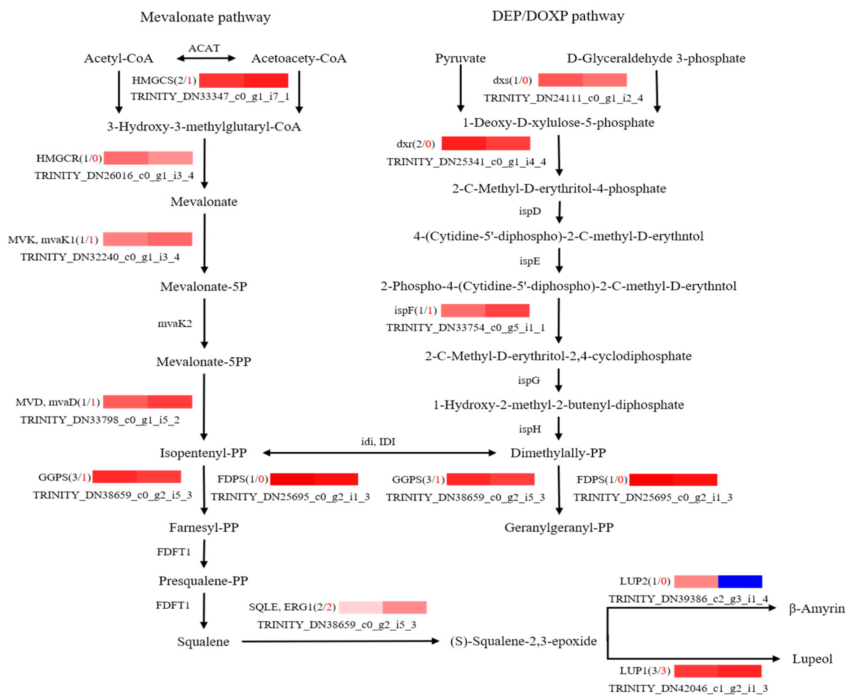 Molecules 28 04877 g008 Molecules 28 04877 g008