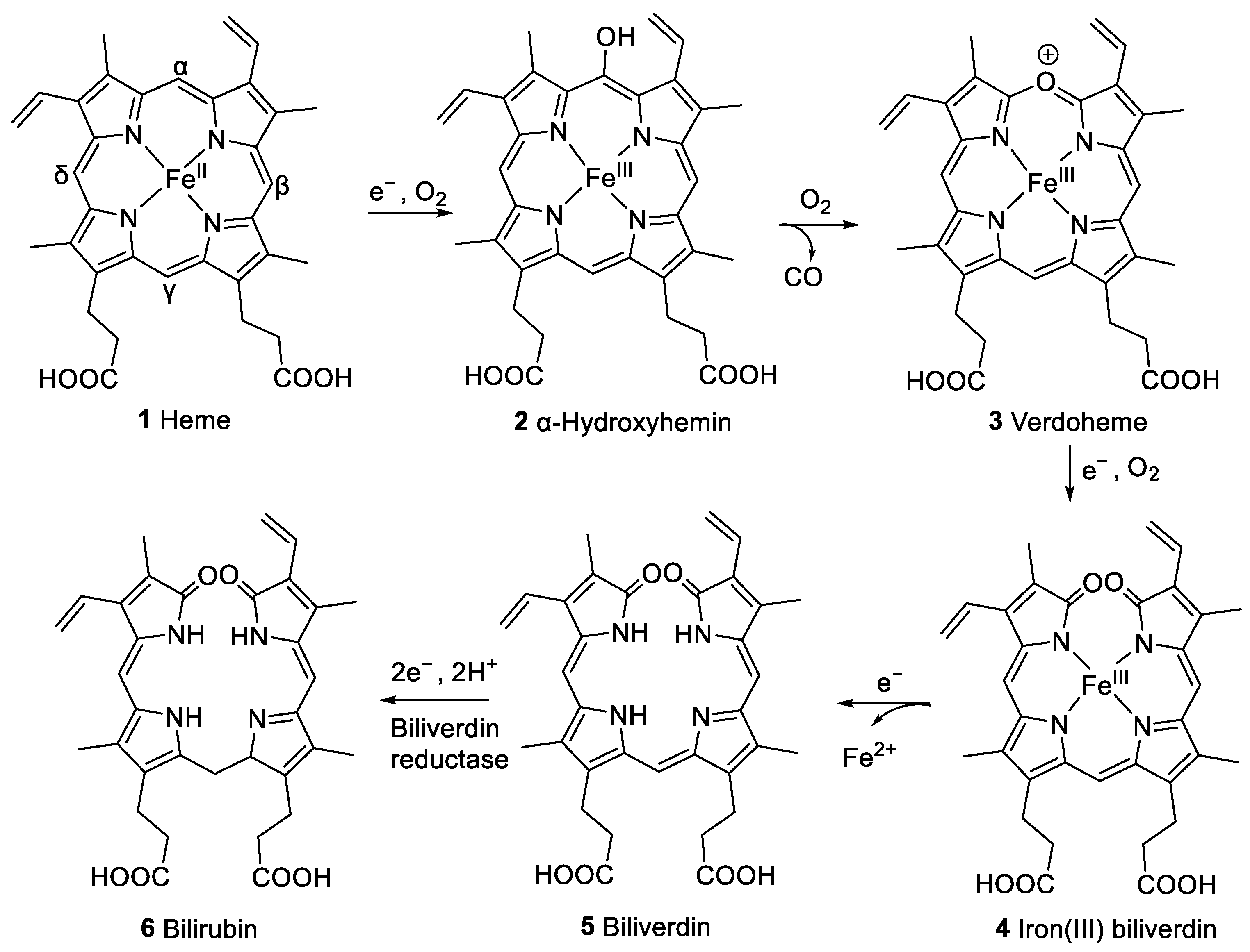 Molecules 28 04887 g002 Molecules 28 04887 g002