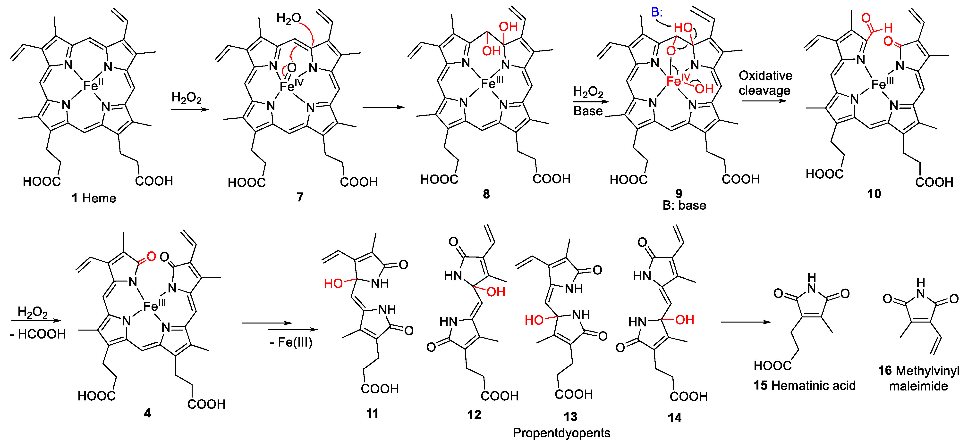 Molecules 28 04887 g003 Molecules 28 04887 g003